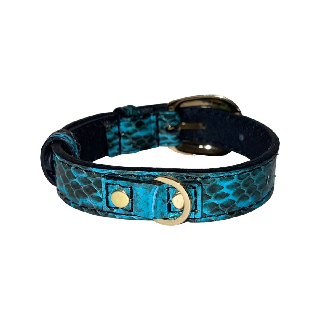 Allysa Payne XS/S 7"-14" Turquoise & Black Custom Snake Dog Collar/Custom Gold Oval Italian Hardware