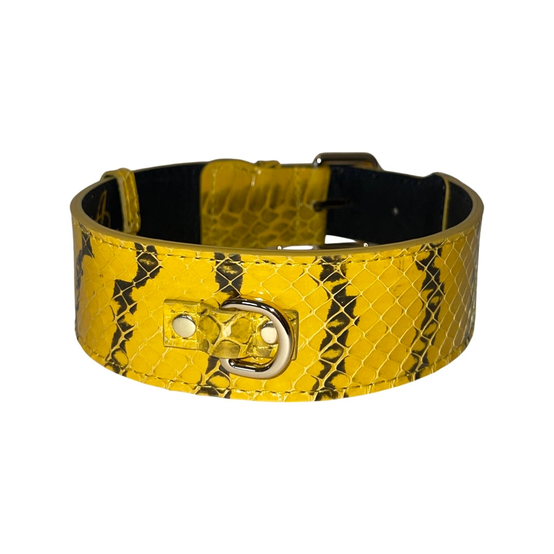 Allysa Payne Mustard Yellow & Black Snake Classic Dog Collar