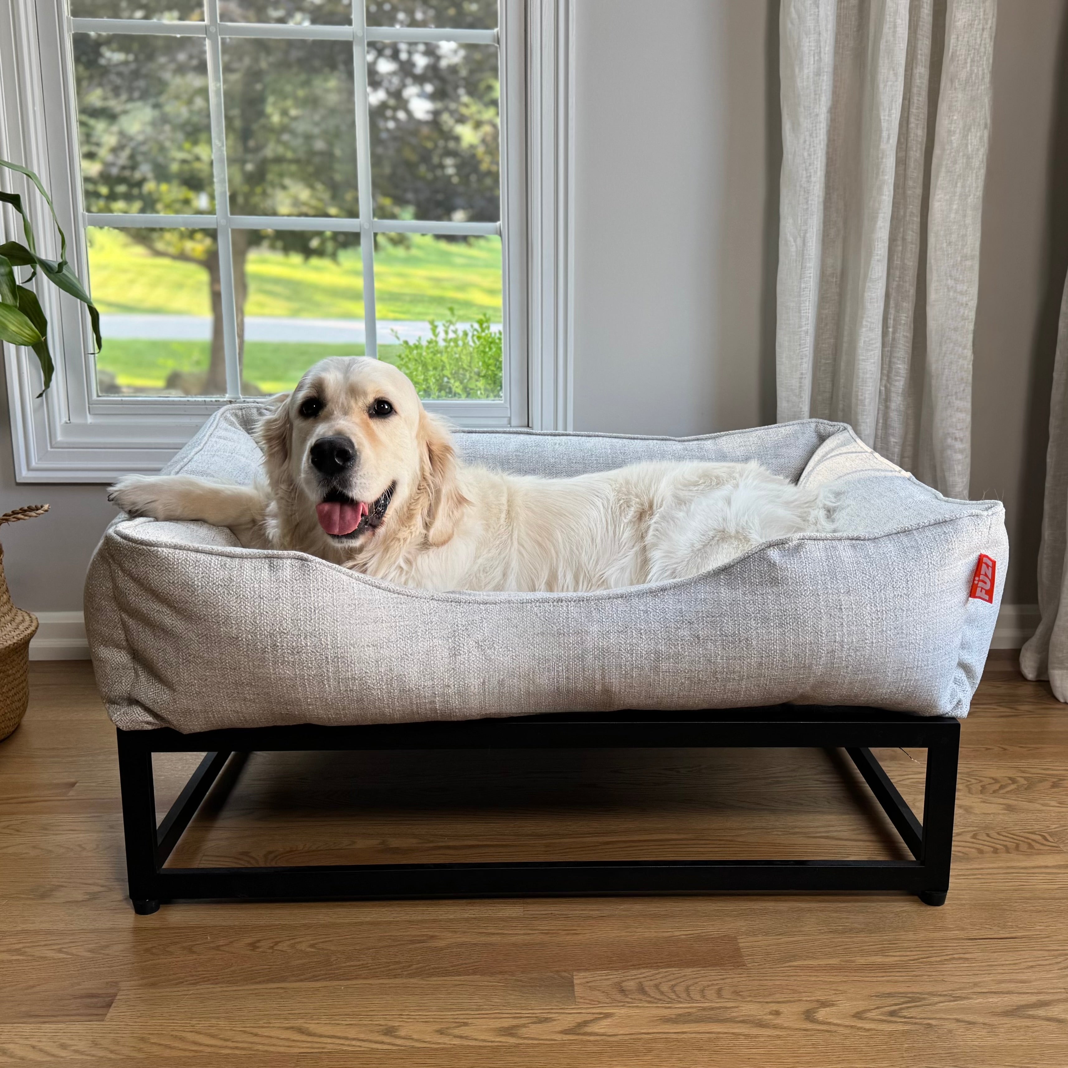 The FÜZI Dog Bed