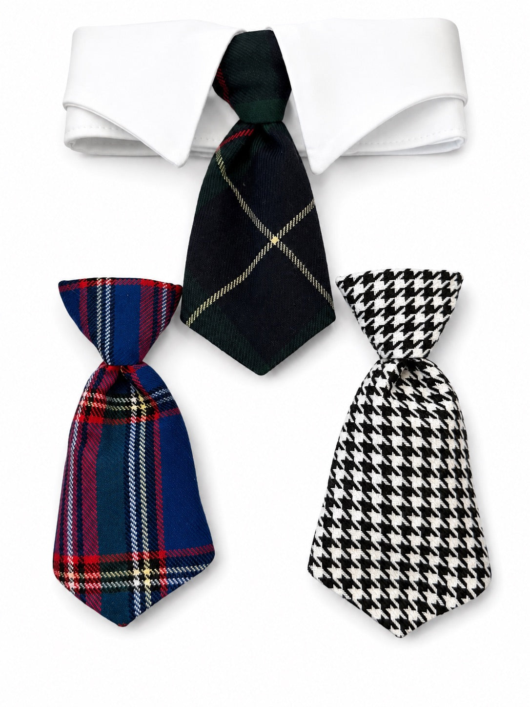 Heads or Tails Pup Fall Dog Tie Collection Gift Box