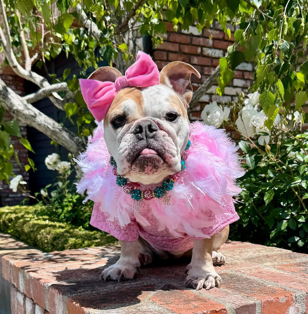 Signature Feathers: Petal Pink Couture (pre-order)