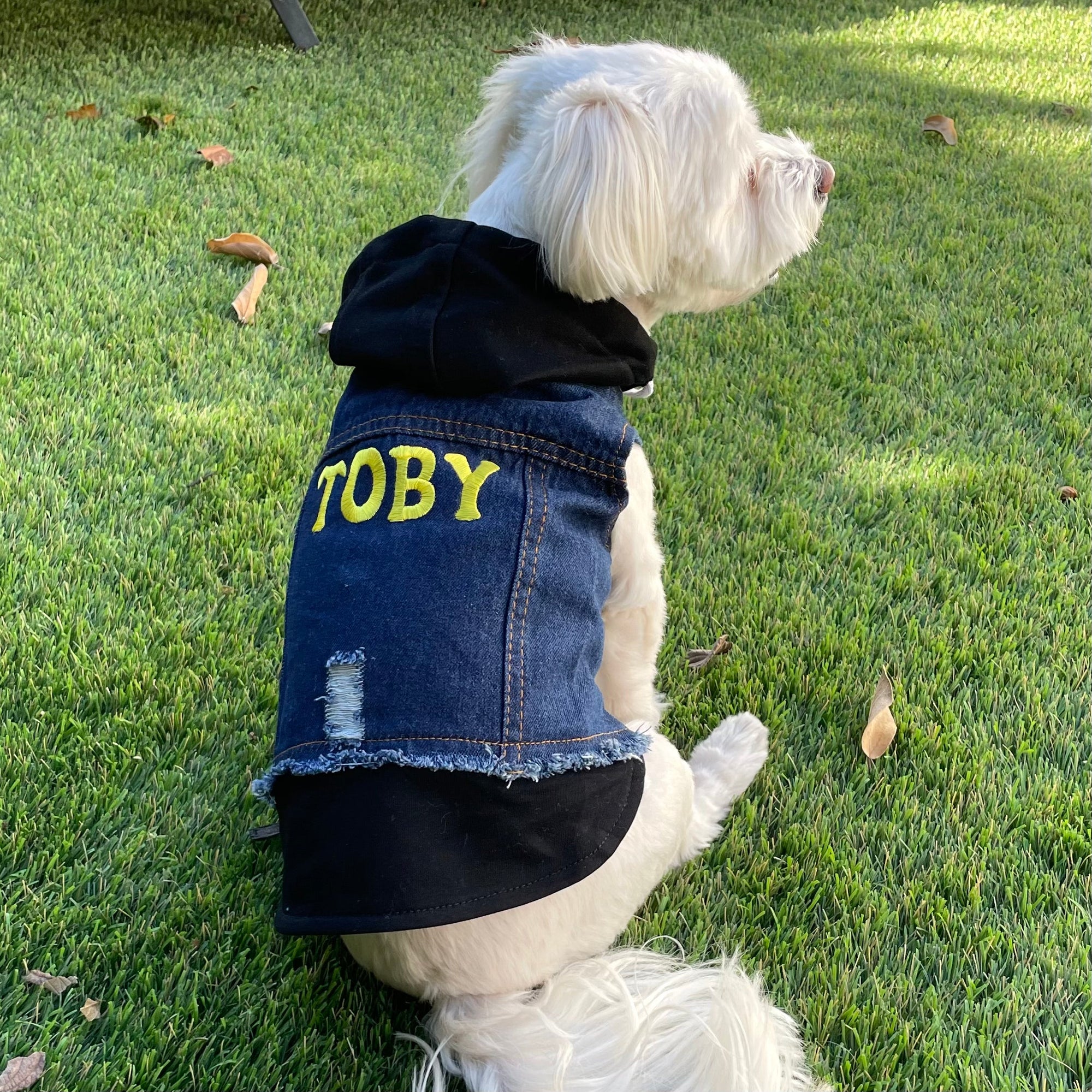 Heads or Tails Pup Personalized Dog Hoodie Vest