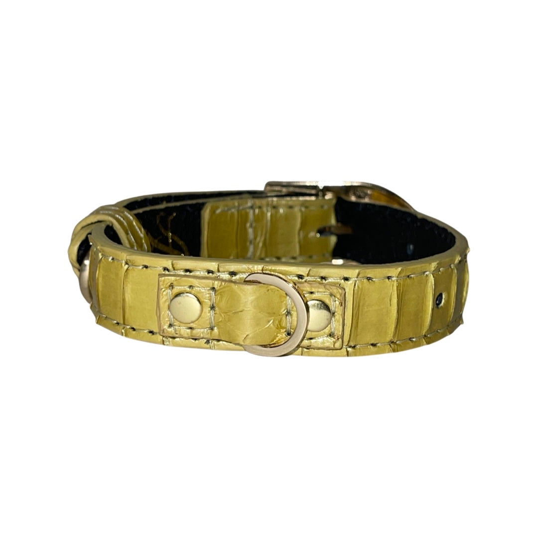 Allysa Payne XS/S 7"-14" Light Yellow Patent Custom Snake Dog Collar/Custom Gold Italian Hardware