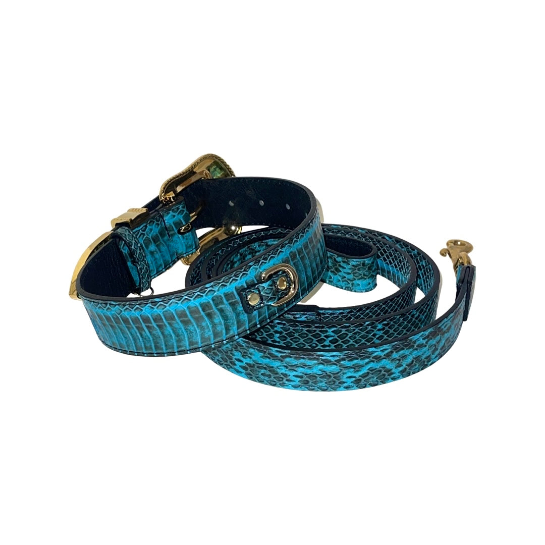 Allysa Payne Turquoise & Black Swarovski Crystal Hardware Snake Dog Collar & Leash Set