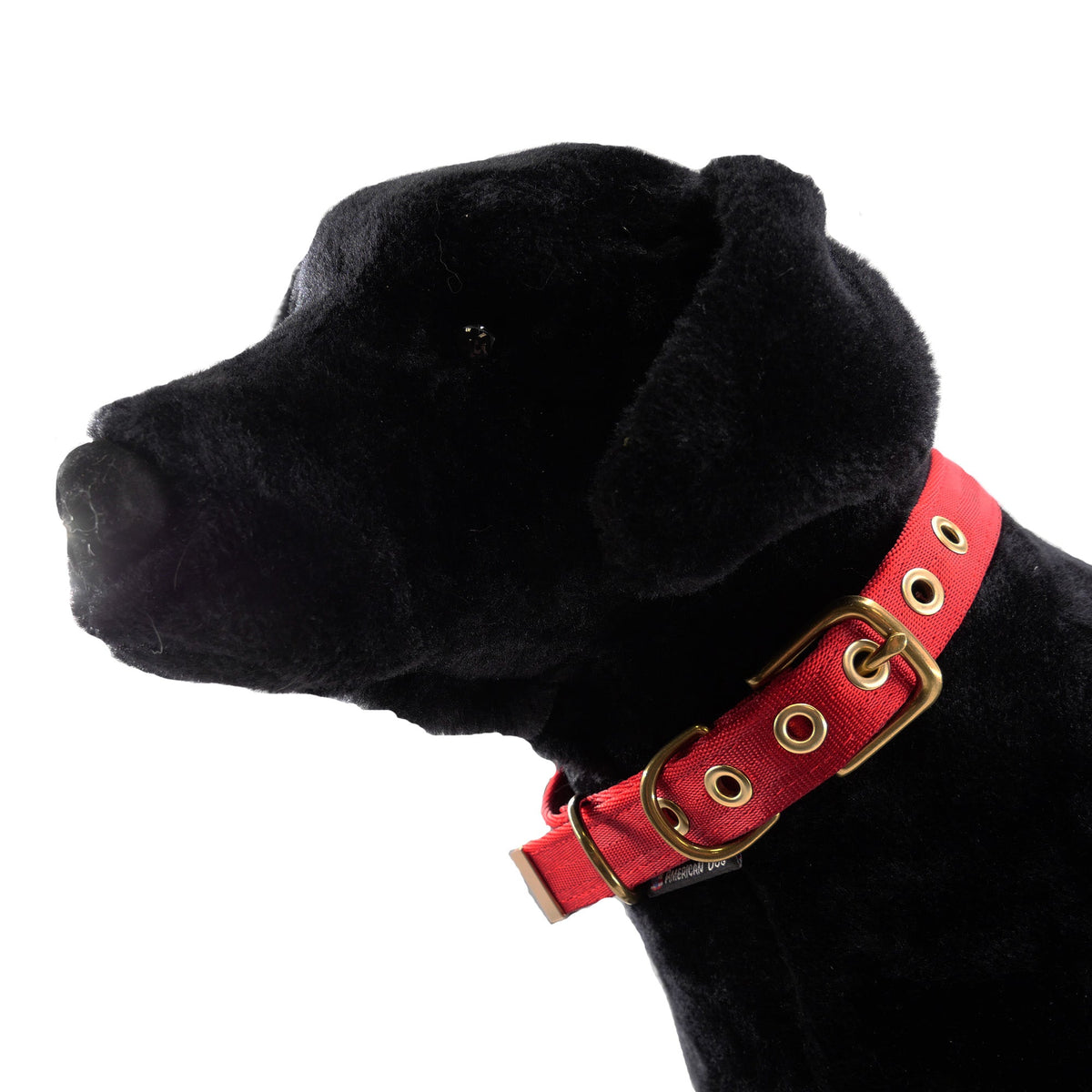 American Dog Seatbelt Dog Collar