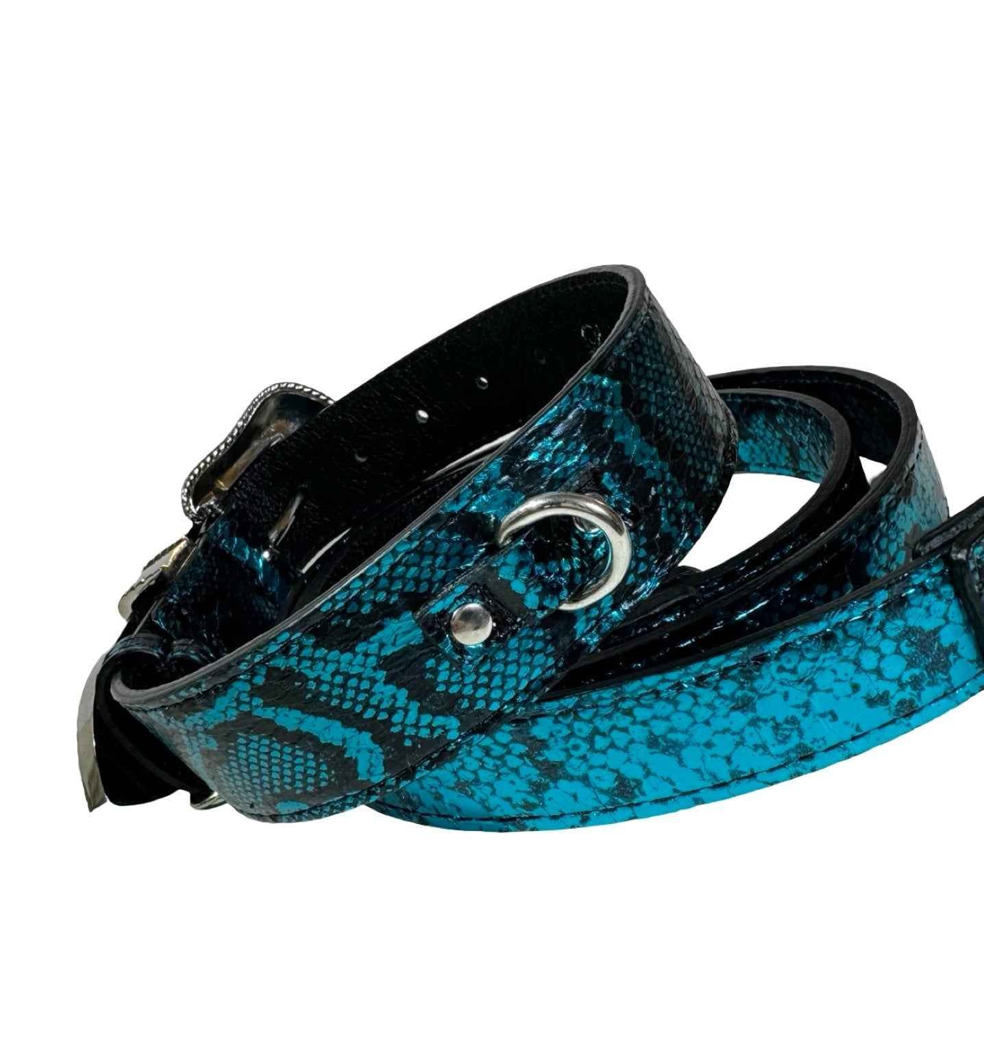 Allysa Payne Blue & Black Serpente Set Dog Collar