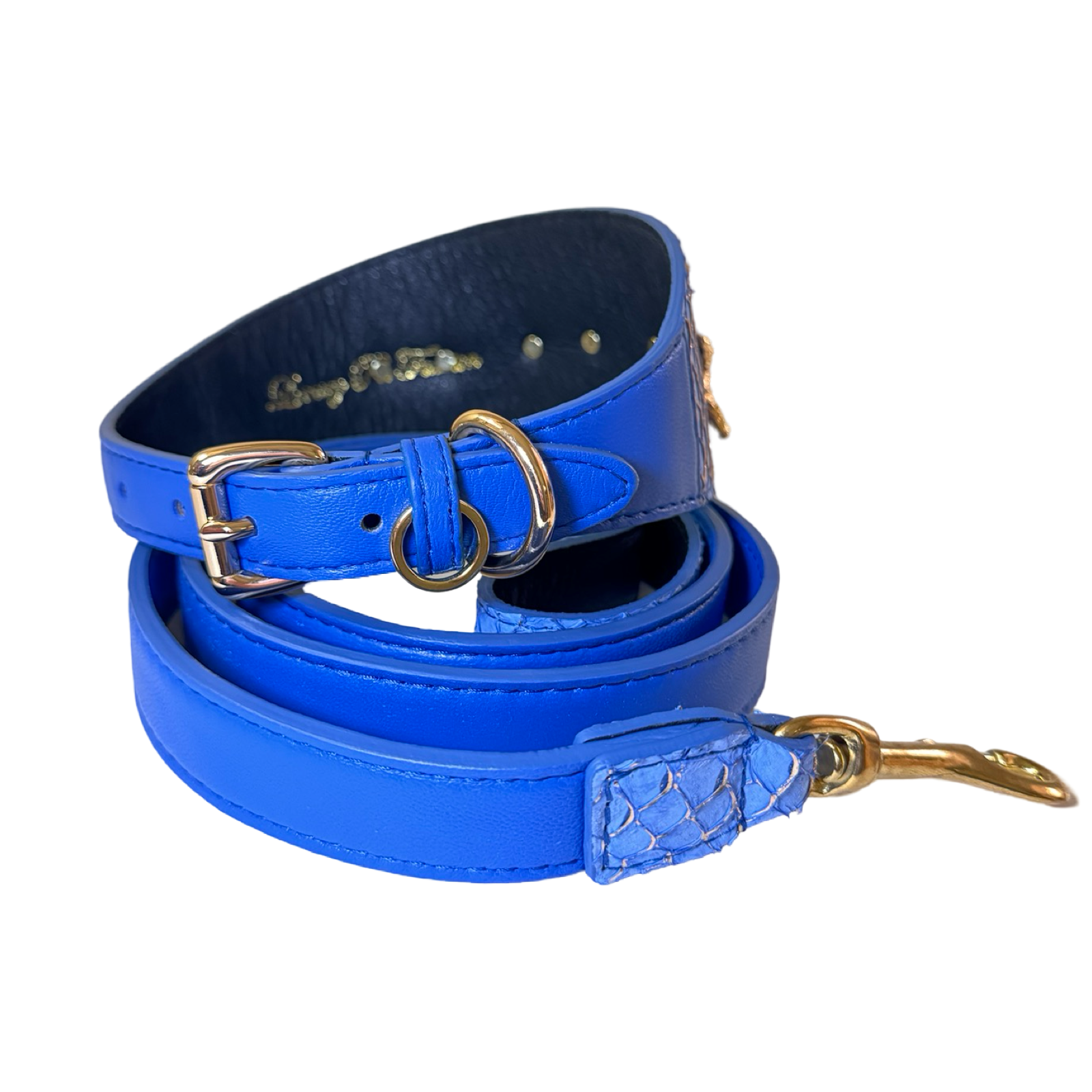 Allysa Payne Malibu Star Dog Collar & Leash Set