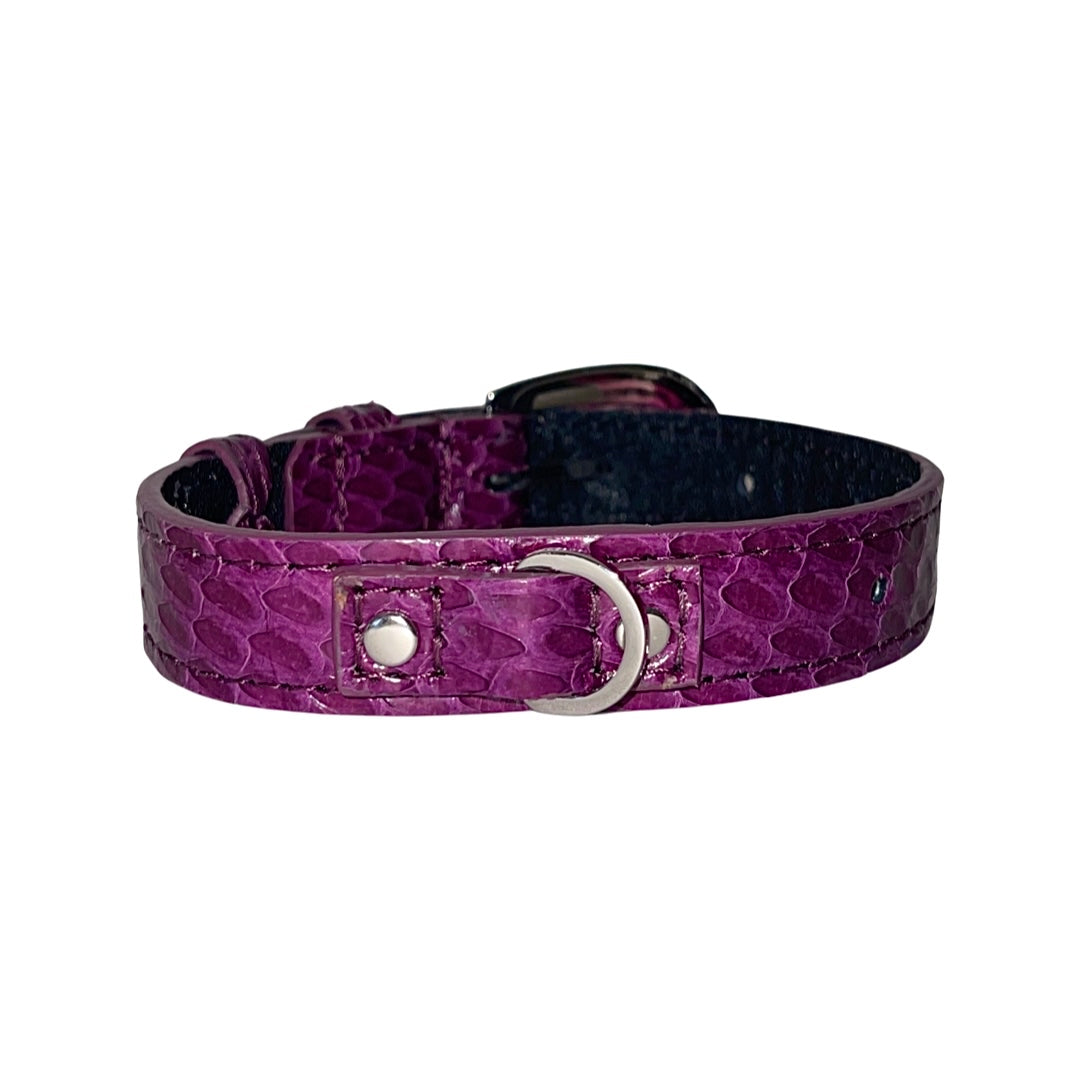 Allysa Payne XS/S 7"-14" Purple Custom Snake Dog Collar/Custom Silver Oval Italian Hardware