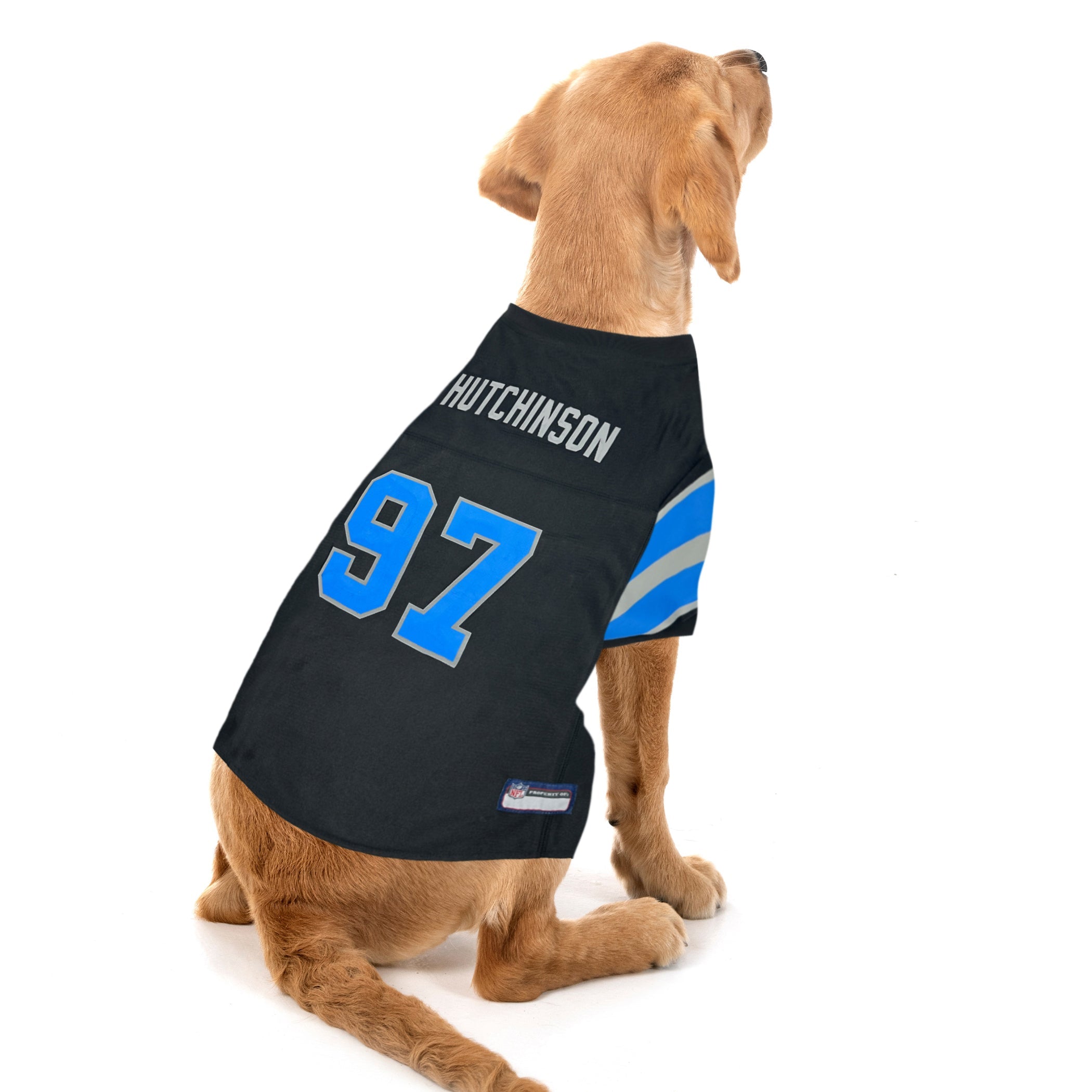 Aidan Hutchinson Alternate Black Pet Jersey (Det)