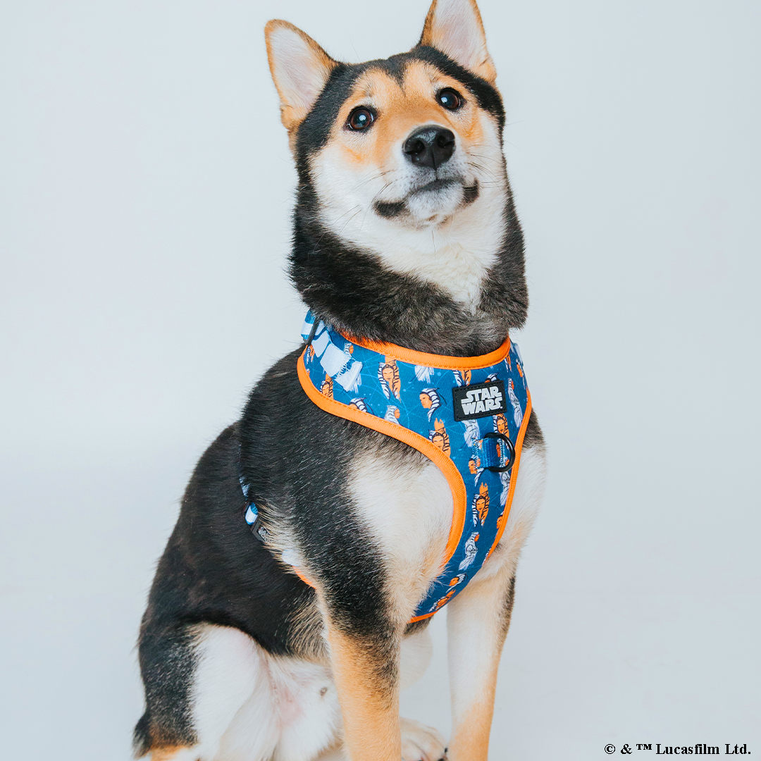 Dog Adjustable Harness - STAR WARS™ Ahsoka