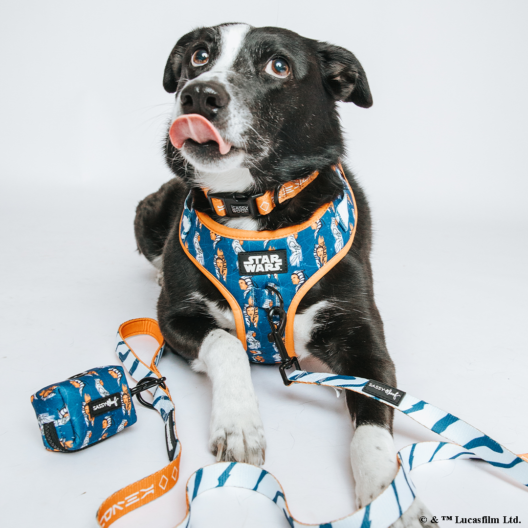 Dog Adjustable Harness - STAR WARS™ Ahsoka