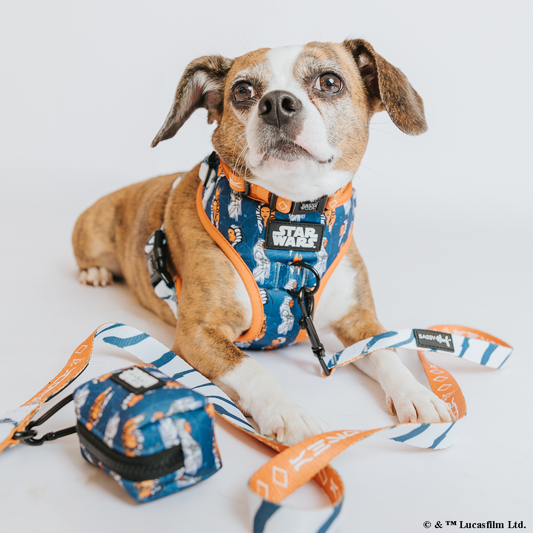Dog Adjustable Harness - STAR WARS™ Ahsoka