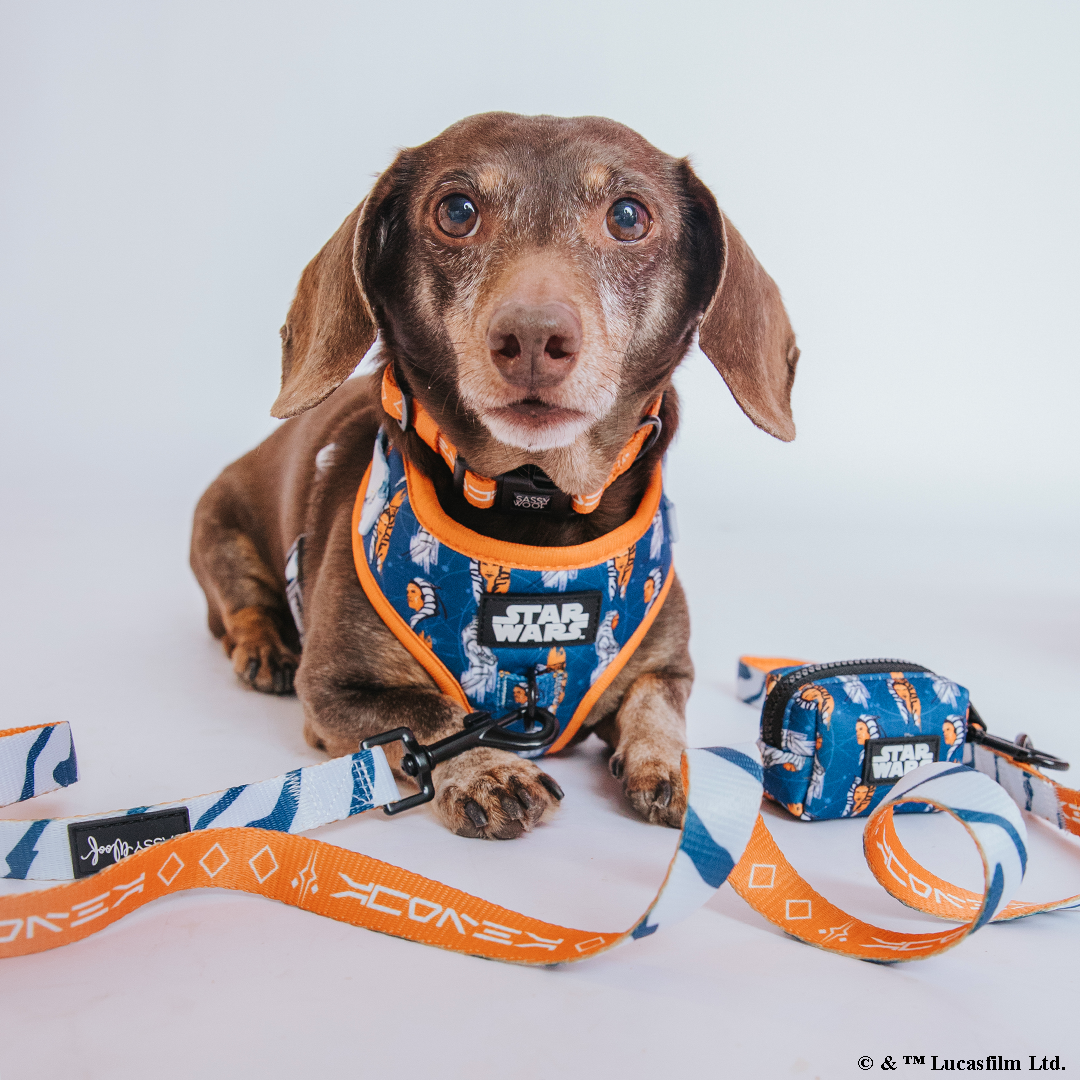 Dog Adjustable Harness - STAR WARS™ Ahsoka