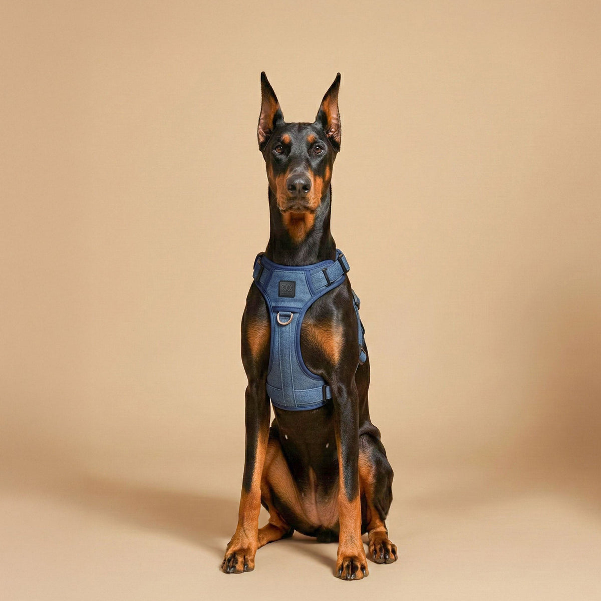 DOGISTRY NoMad Adjustable Luxe Harness - Denim
