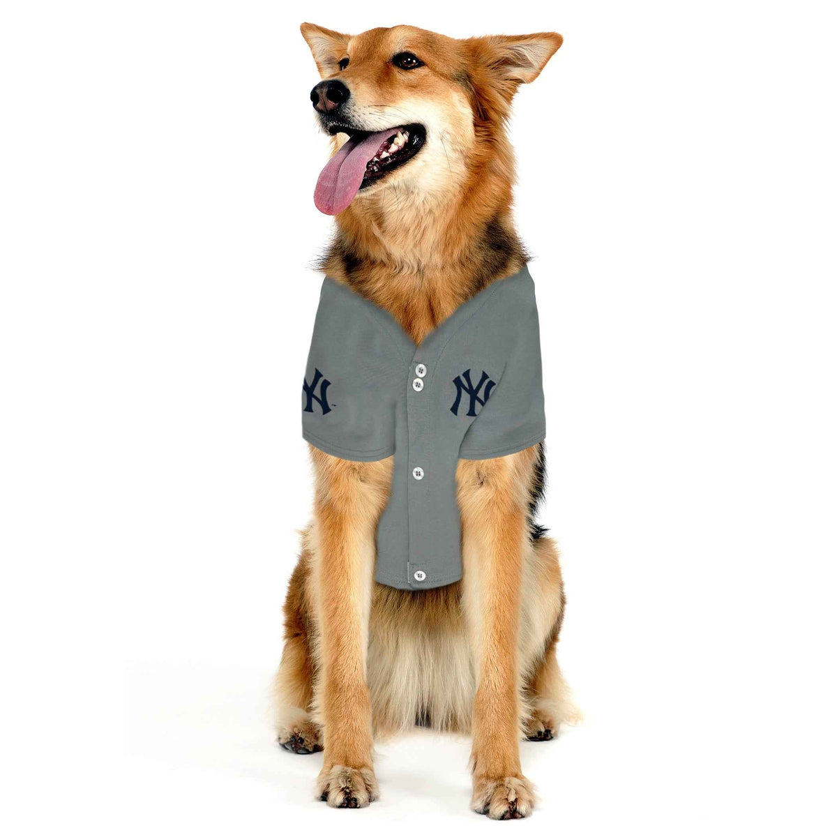 MLB New York Yankees Aaron Judge Mesh Pet Jersey