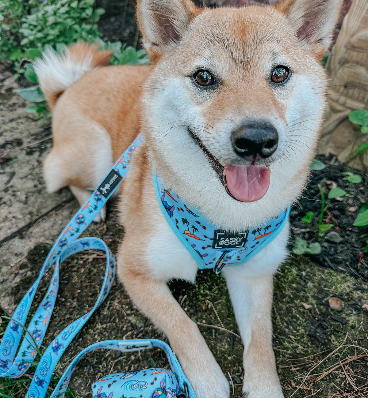 Dog Leash - Disneys Stitch