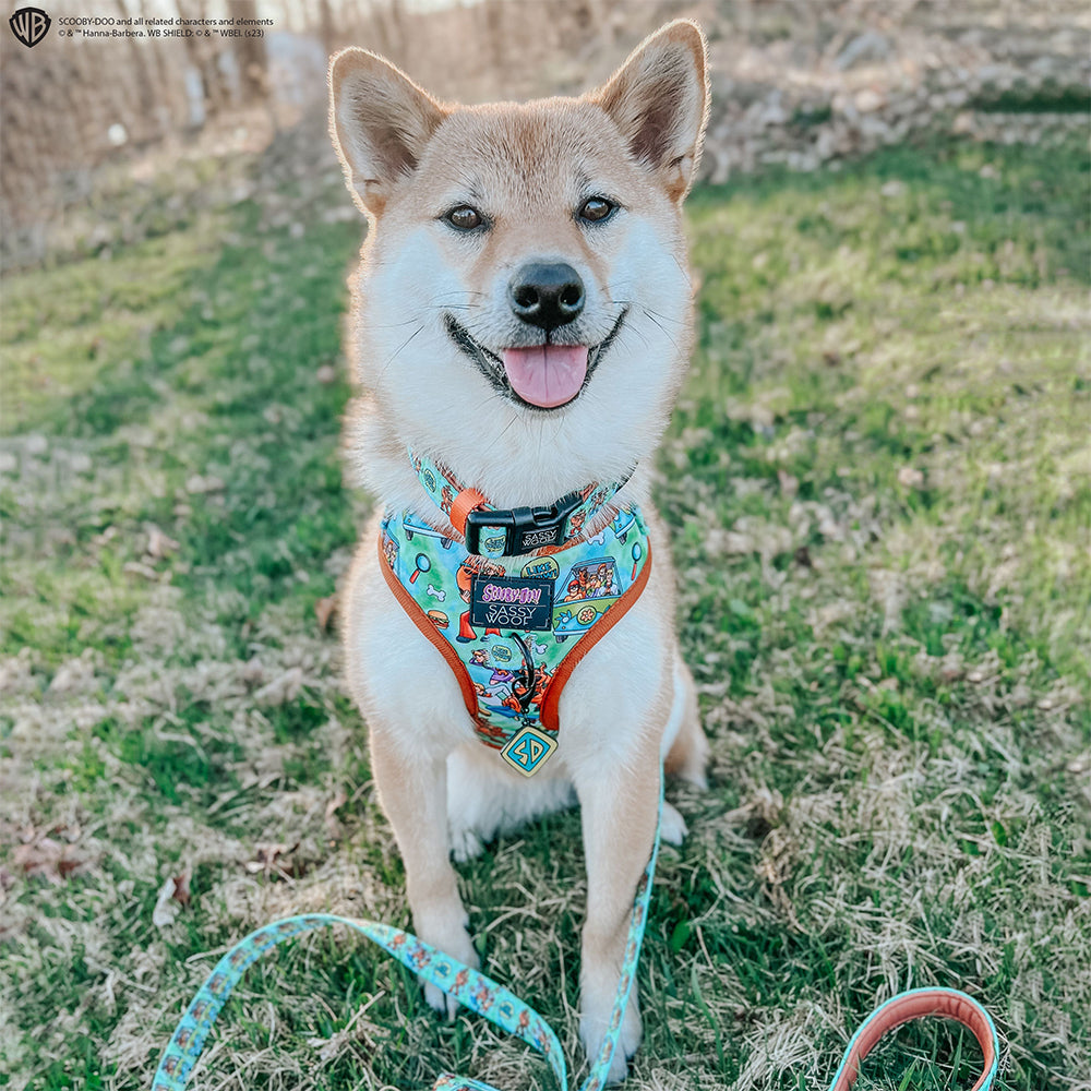 Dog Collar - Scooby-Doo™