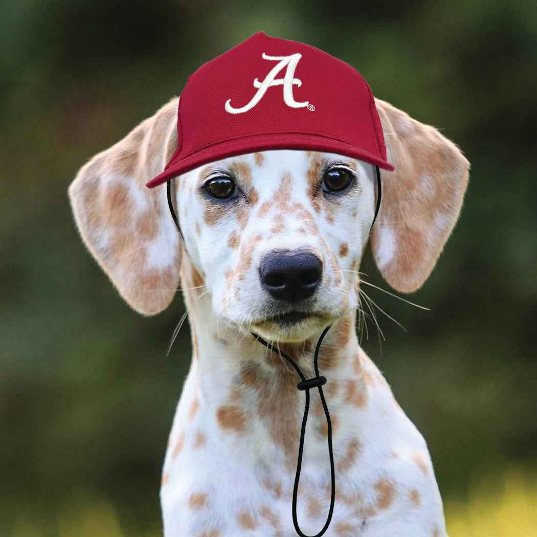 NCAA University of Alabama Crimson Tide Dog Hat