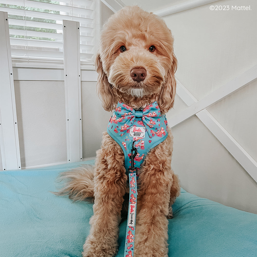 Dog Adjustable Harness - BARBIE™ On a Roll