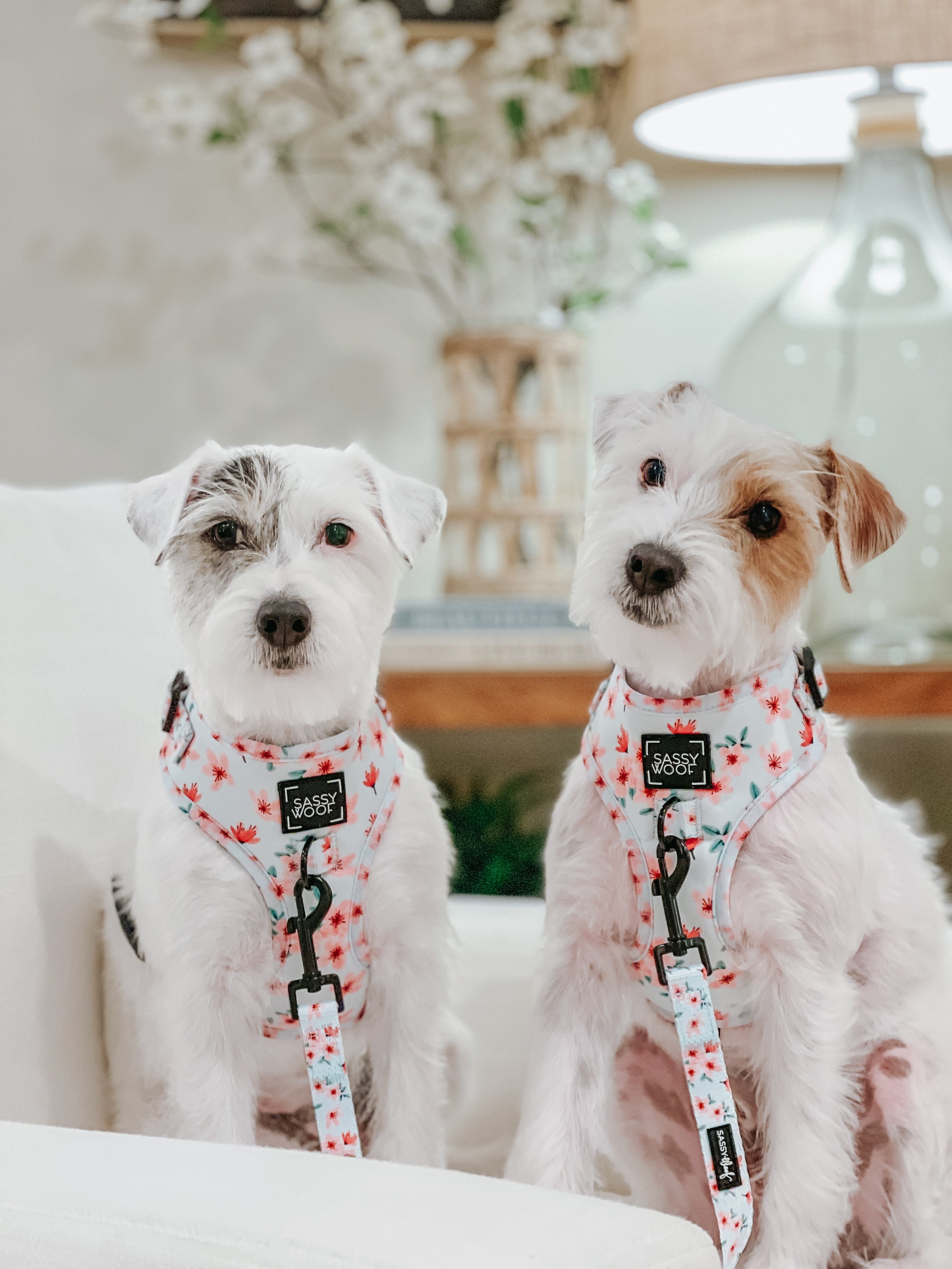 Dog Adjustable Harness - Sakura