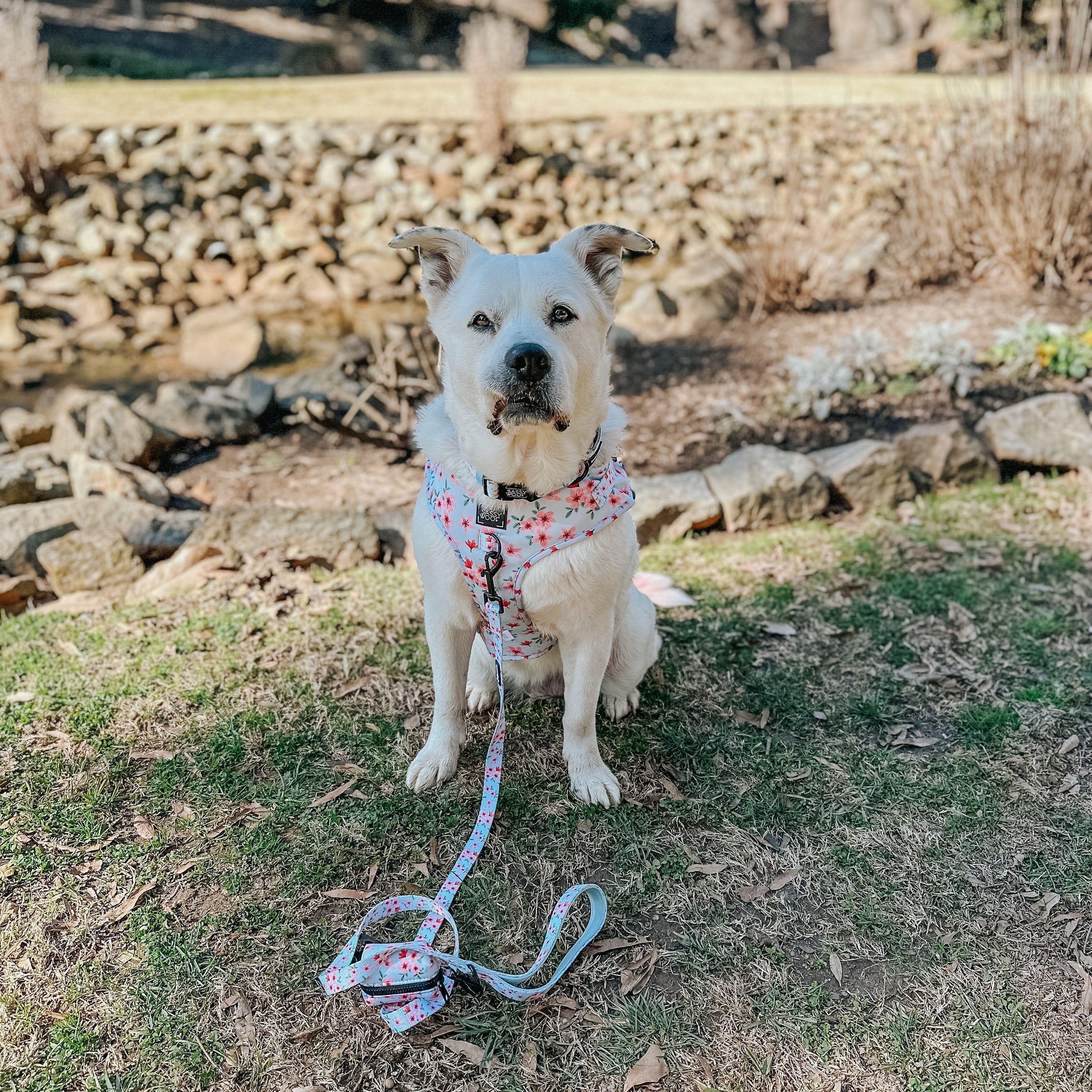 Dog Adjustable Harness - Sakura