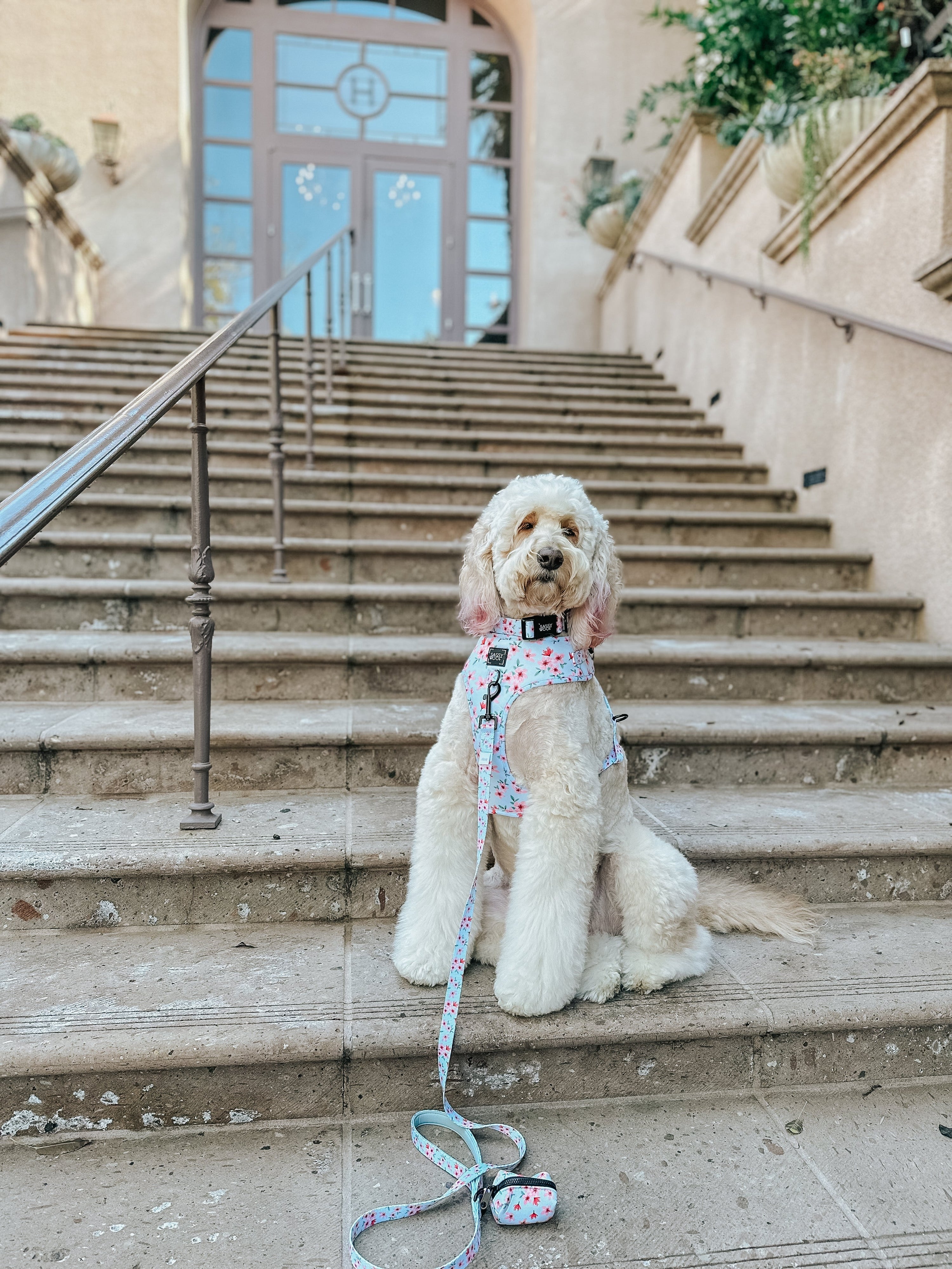 Dog Adjustable Harness - Sakura