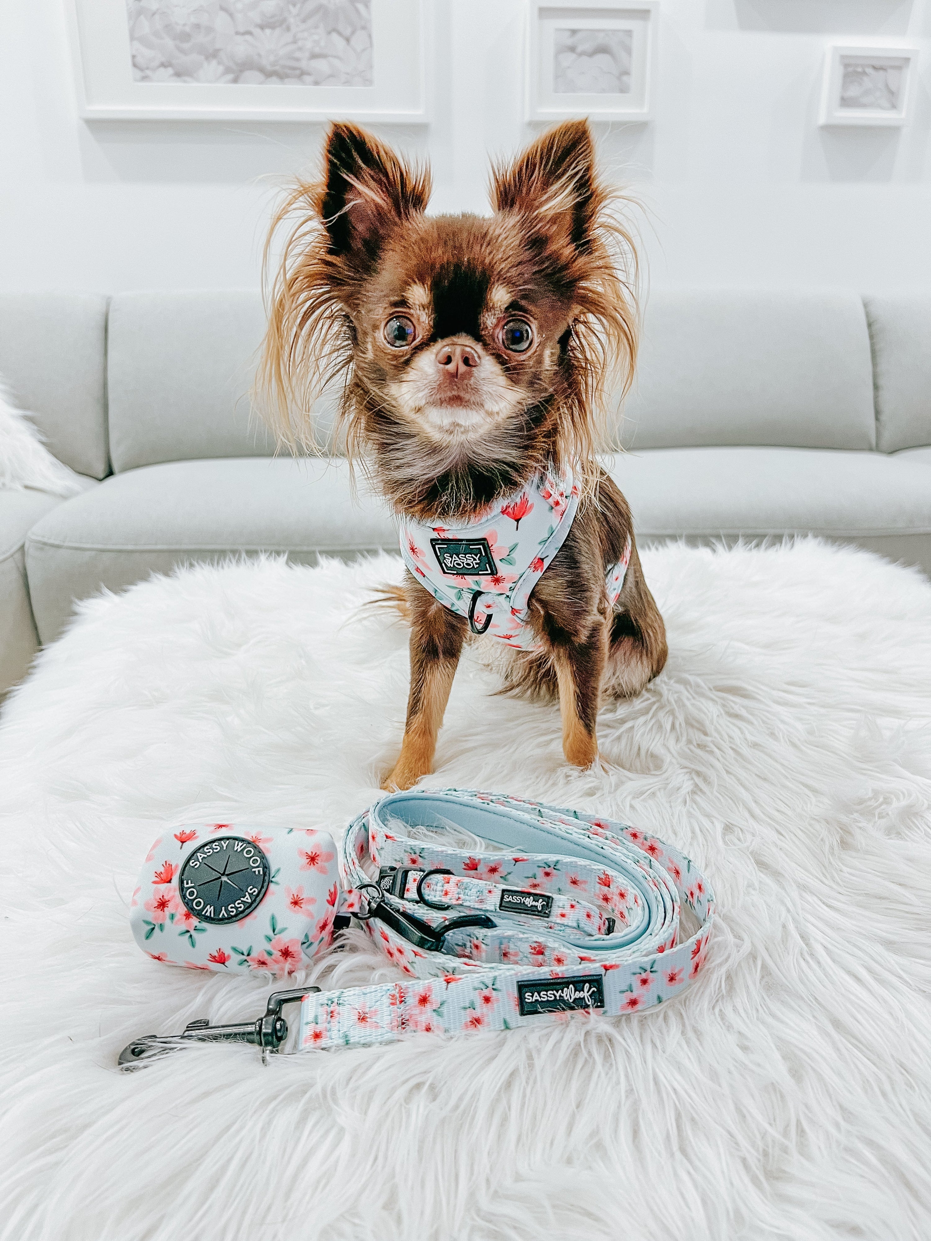 Dog Adjustable Harness - Sakura