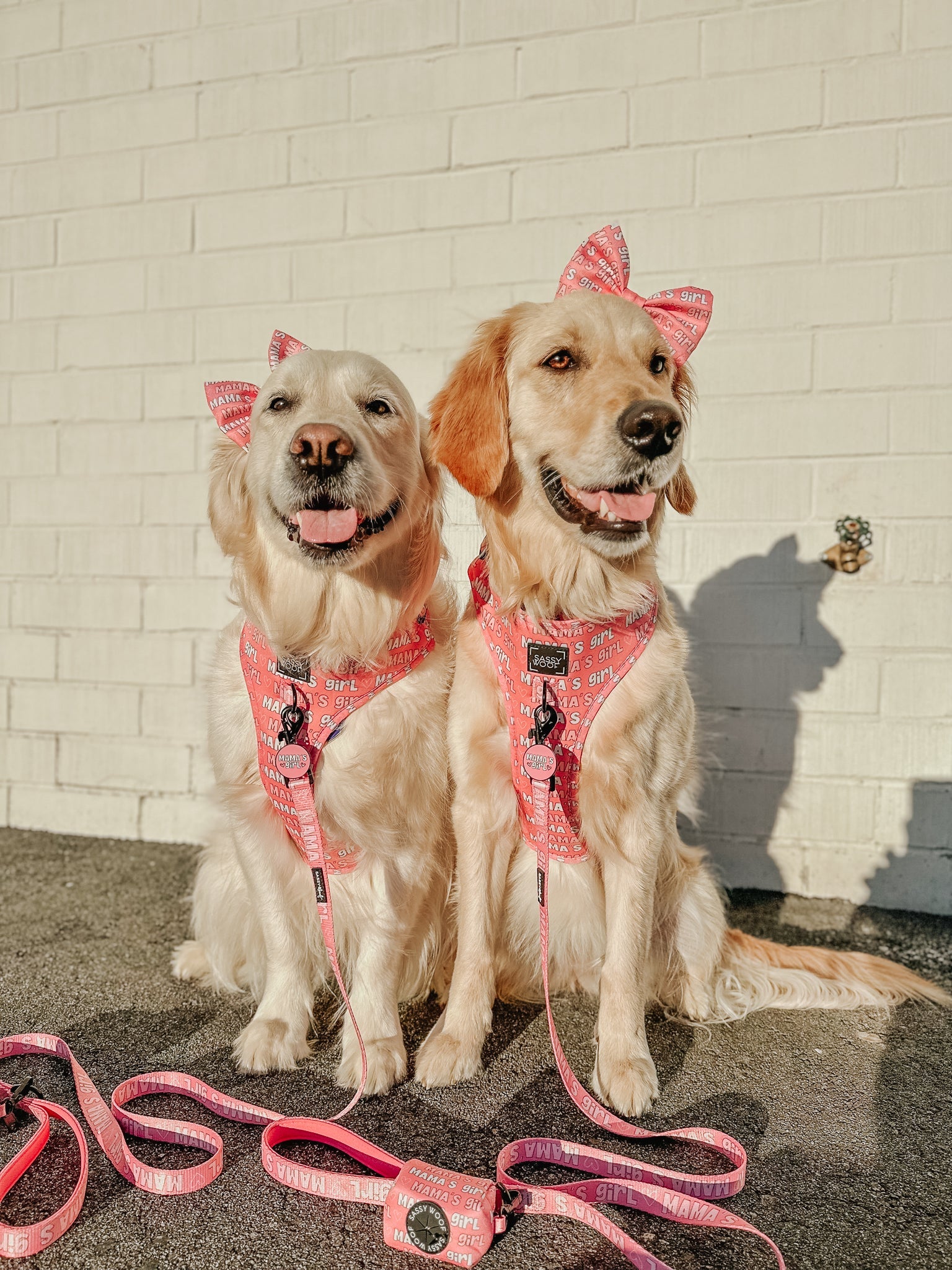 Collar Tag - Mamas Girl