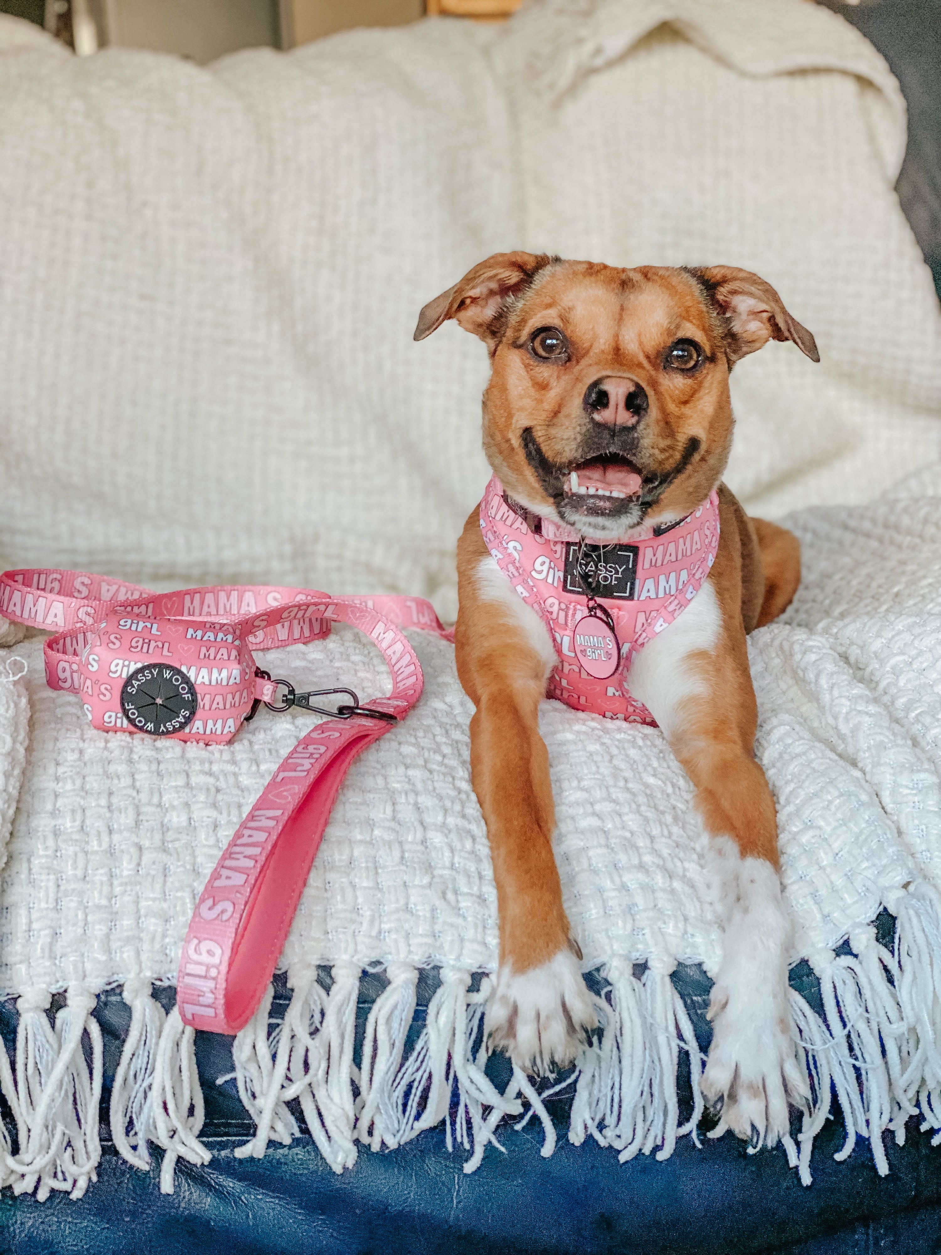 Collar Tag - Mamas Girl