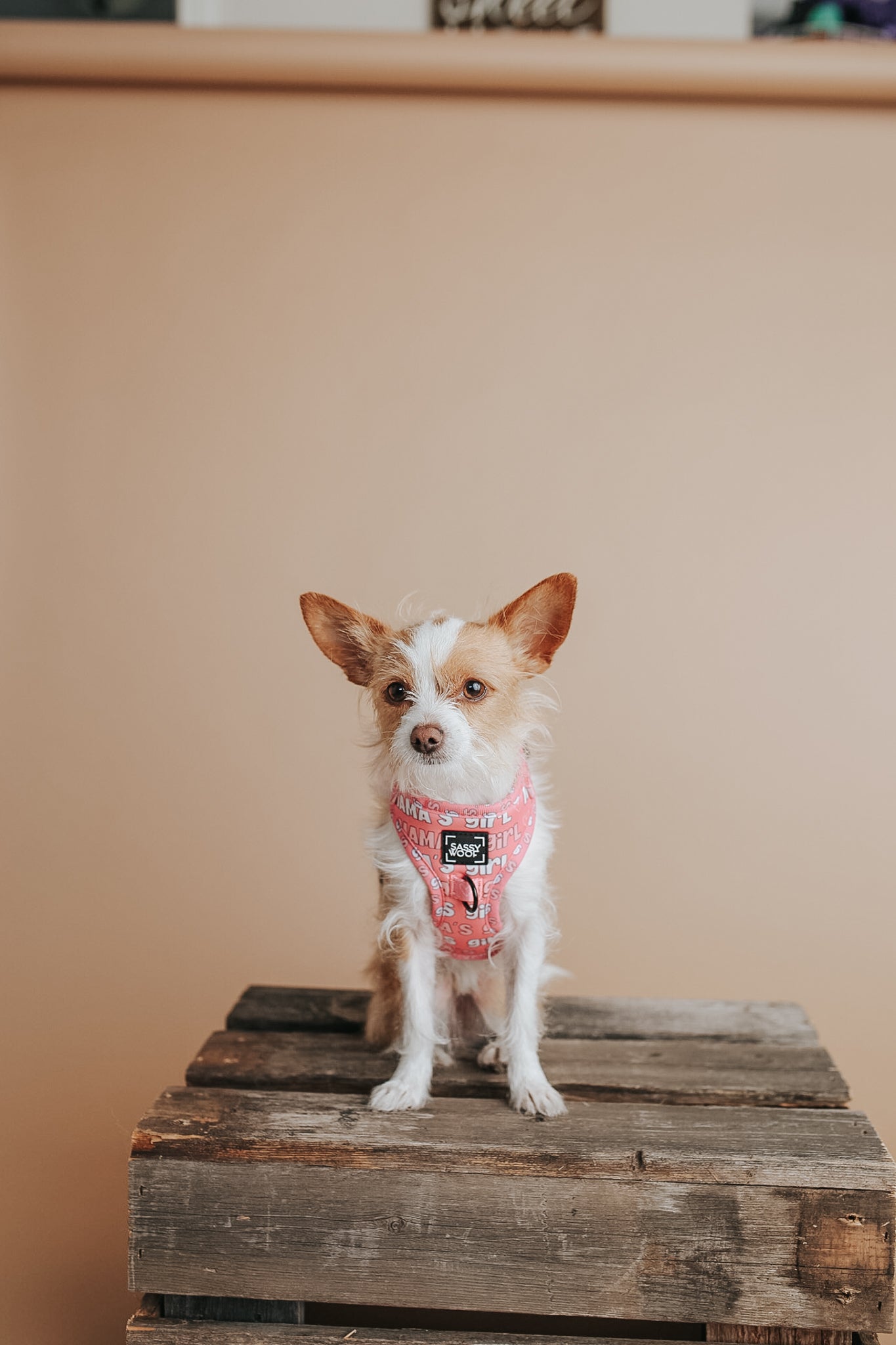Collar Tag - Mamas Girl