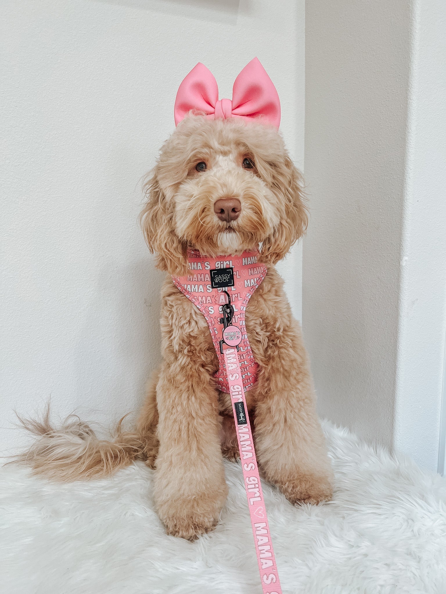 Collar Tag - Mamas Girl