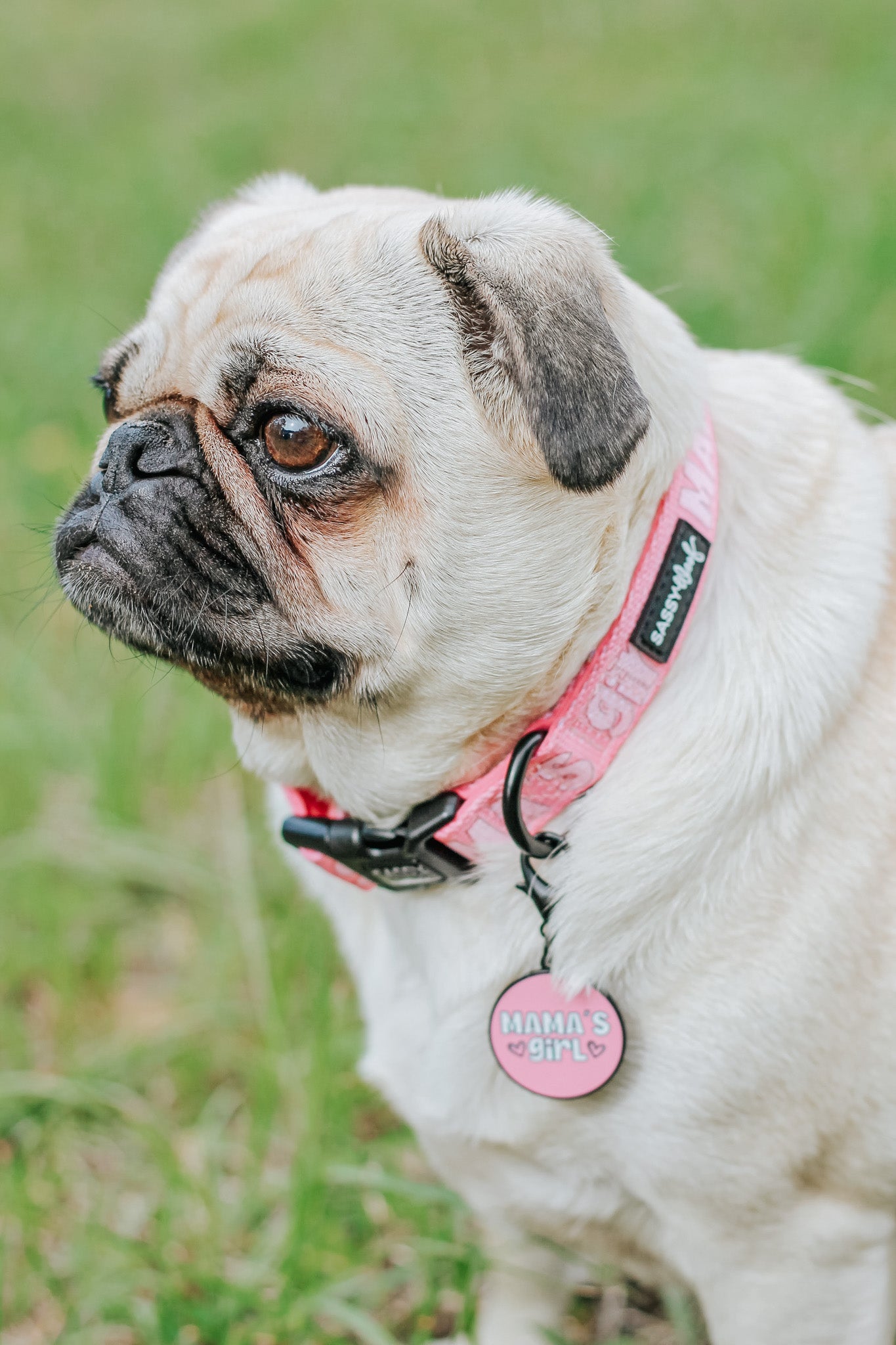 Collar Tag - Mamas Girl