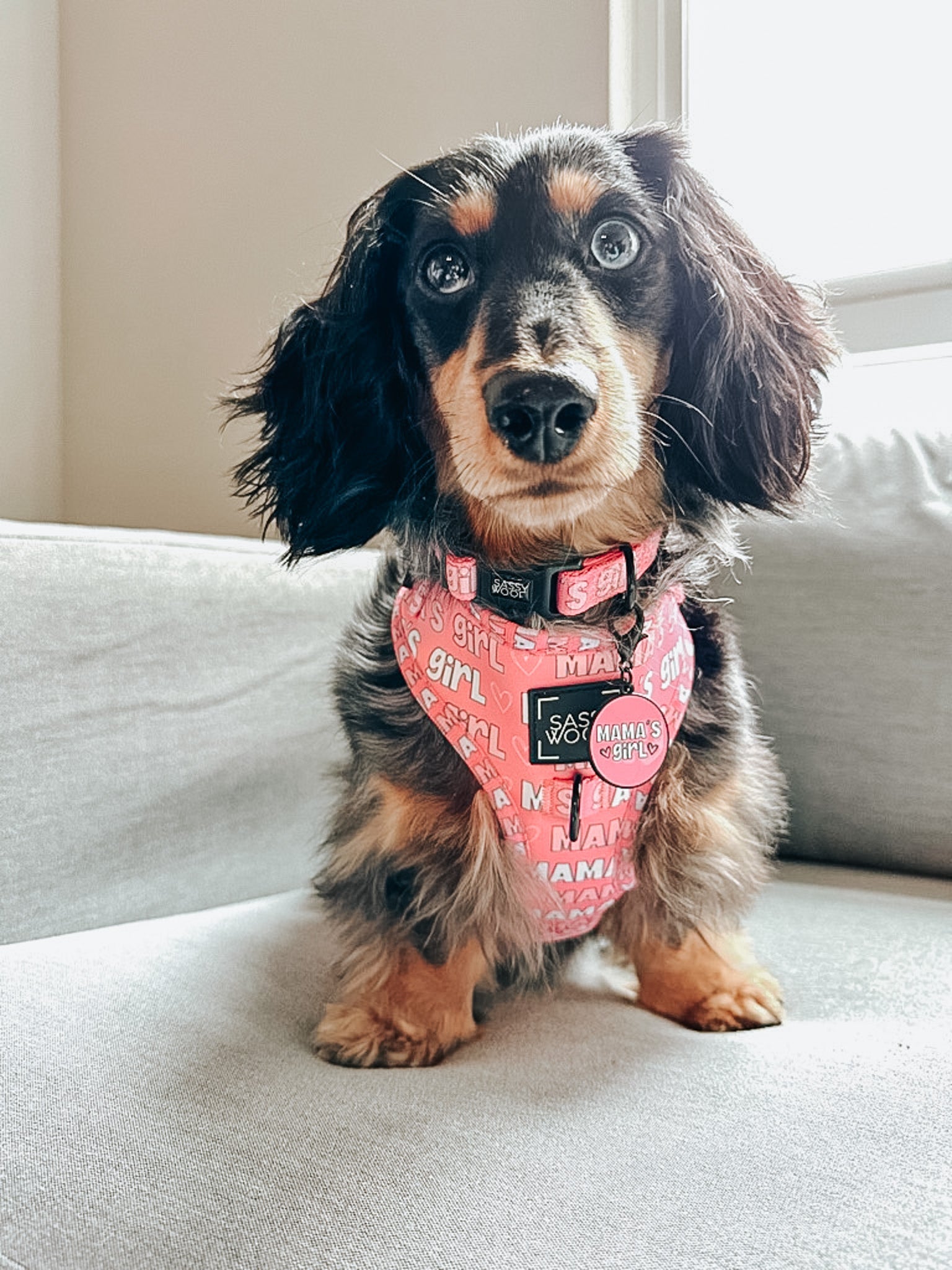 Collar Tag - Mamas Girl