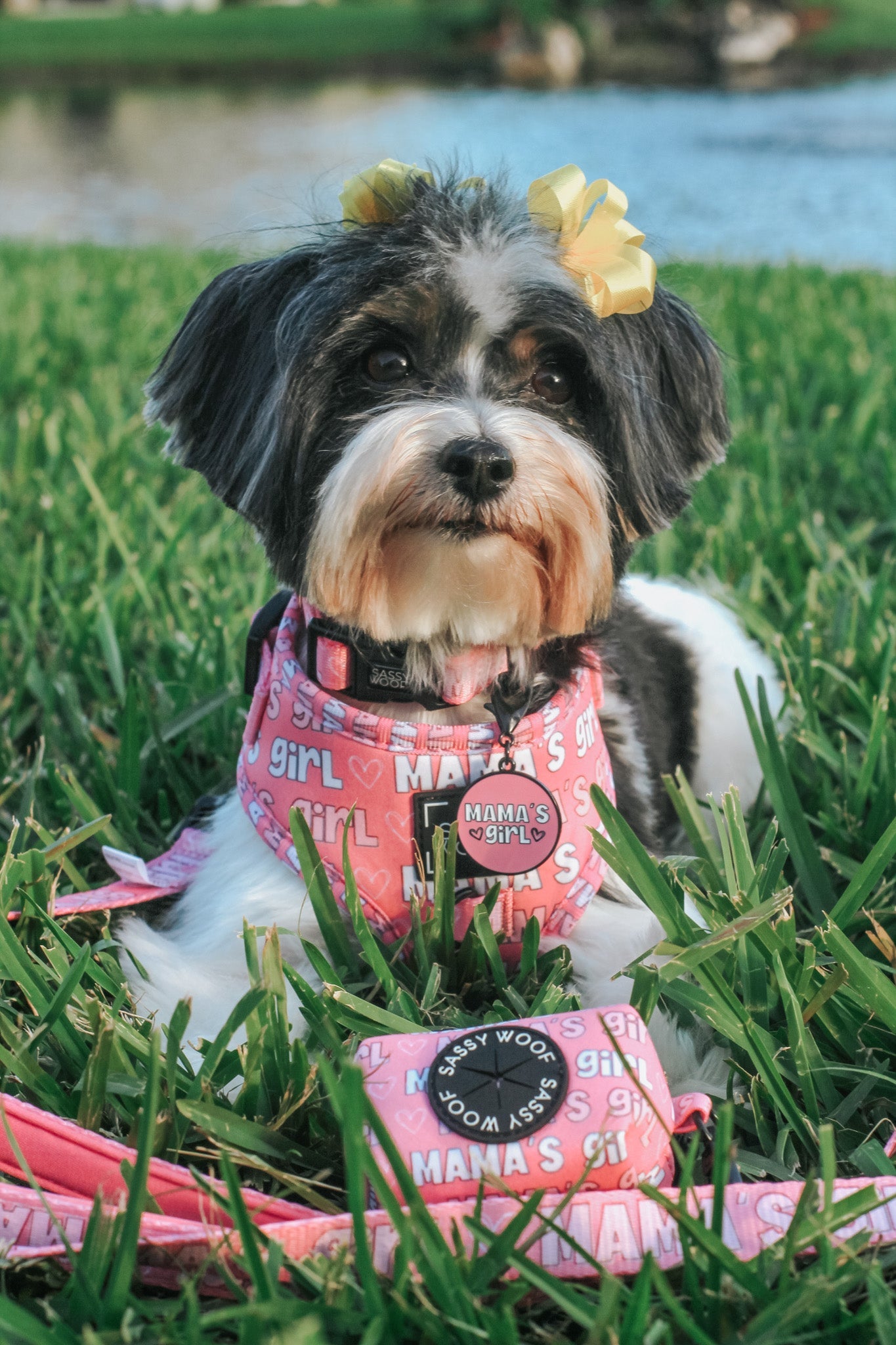 Collar Tag - Mamas Girl