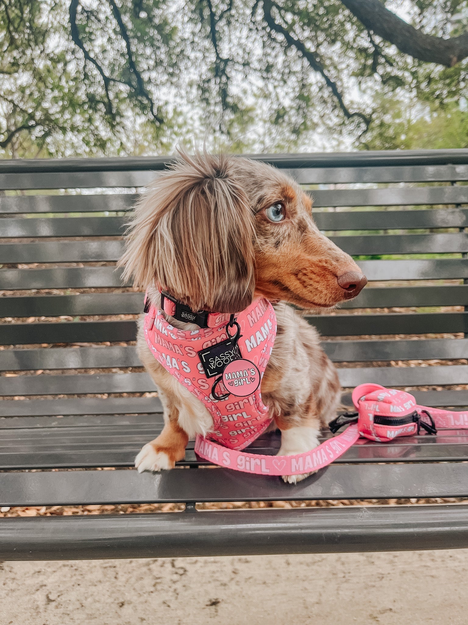 Collar Tag - Mamas Girl