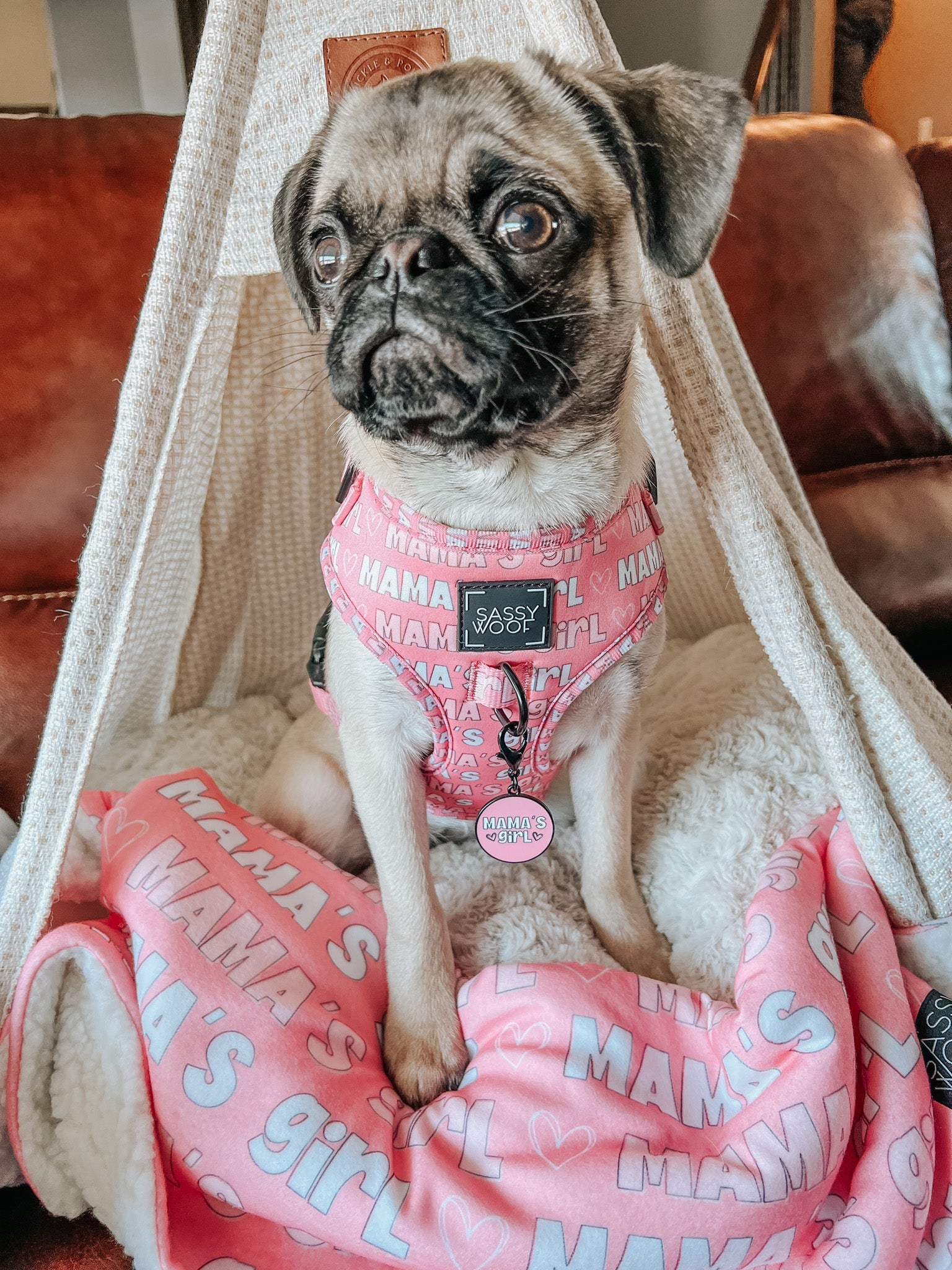 Collar Tag - Mamas Girl