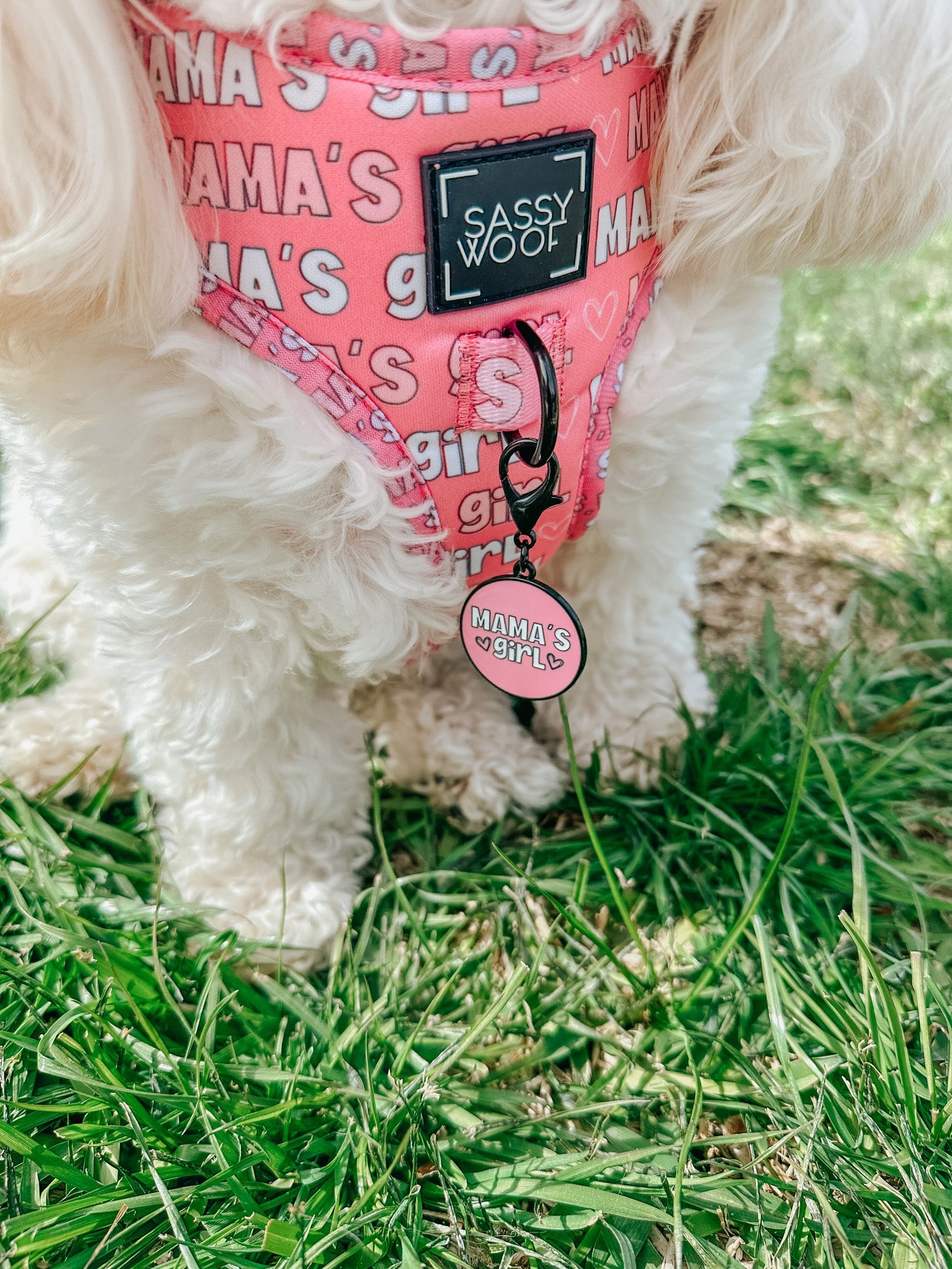 Collar Tag - Mamas Girl