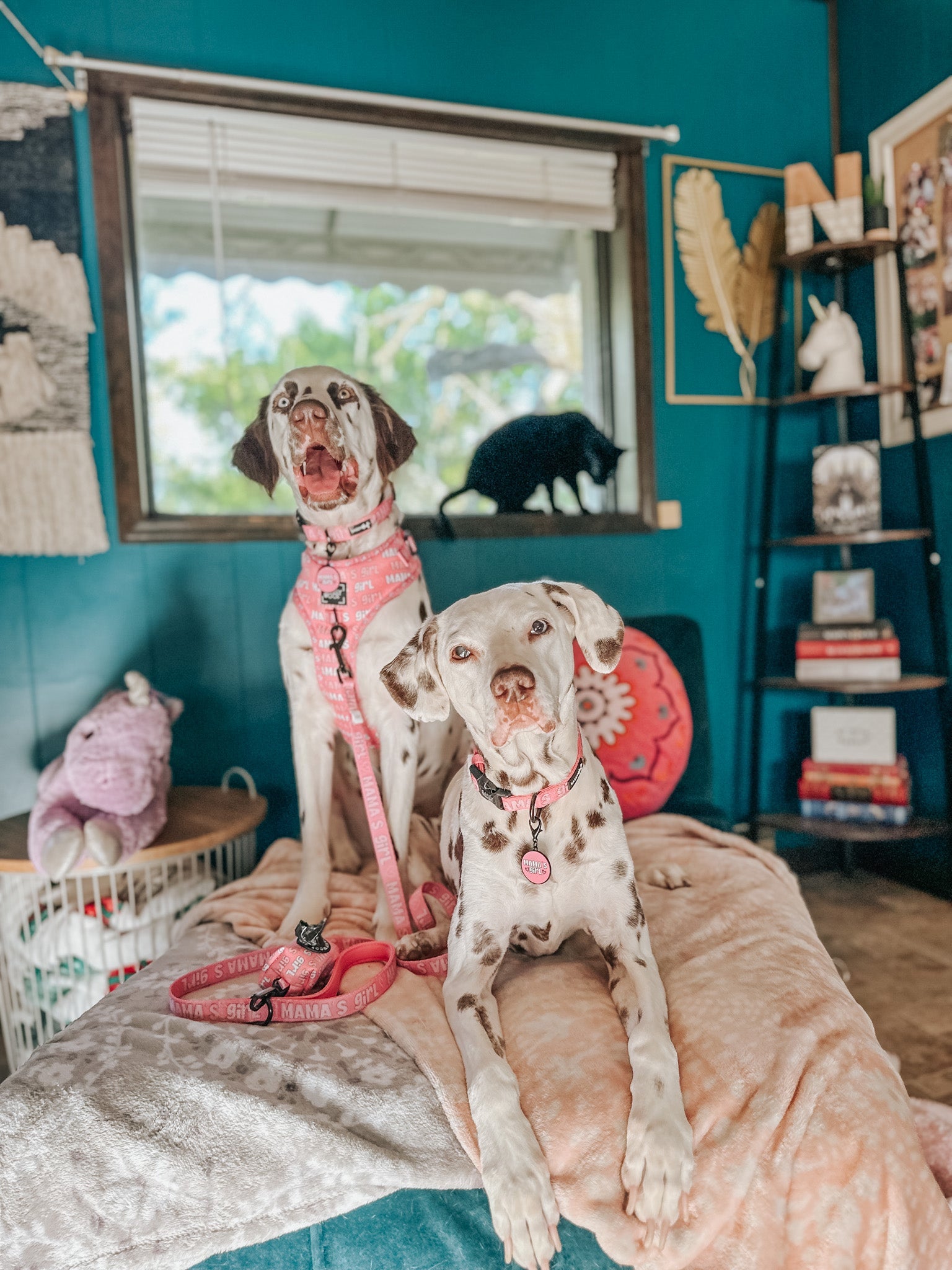 Collar Tag - Mamas Girl