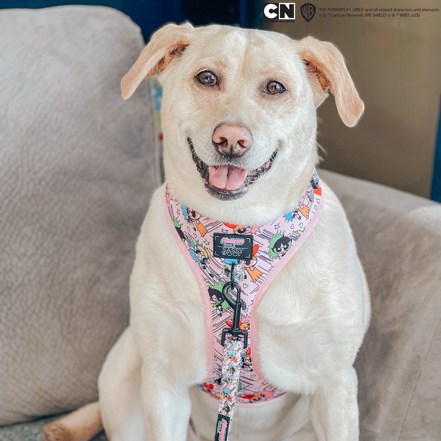 Dog Adjustable Harness - The Powerpuff Girls™ (Pink)