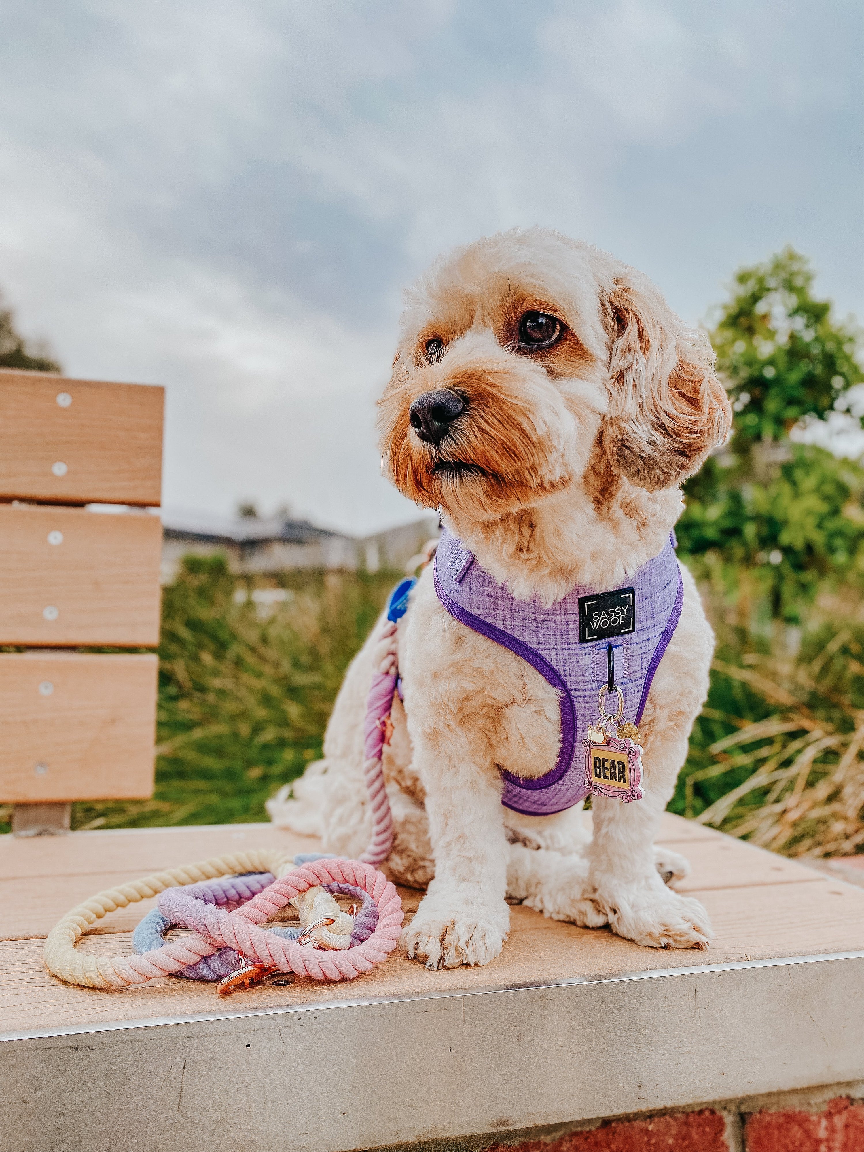 Dog Rope Leash - Caroline