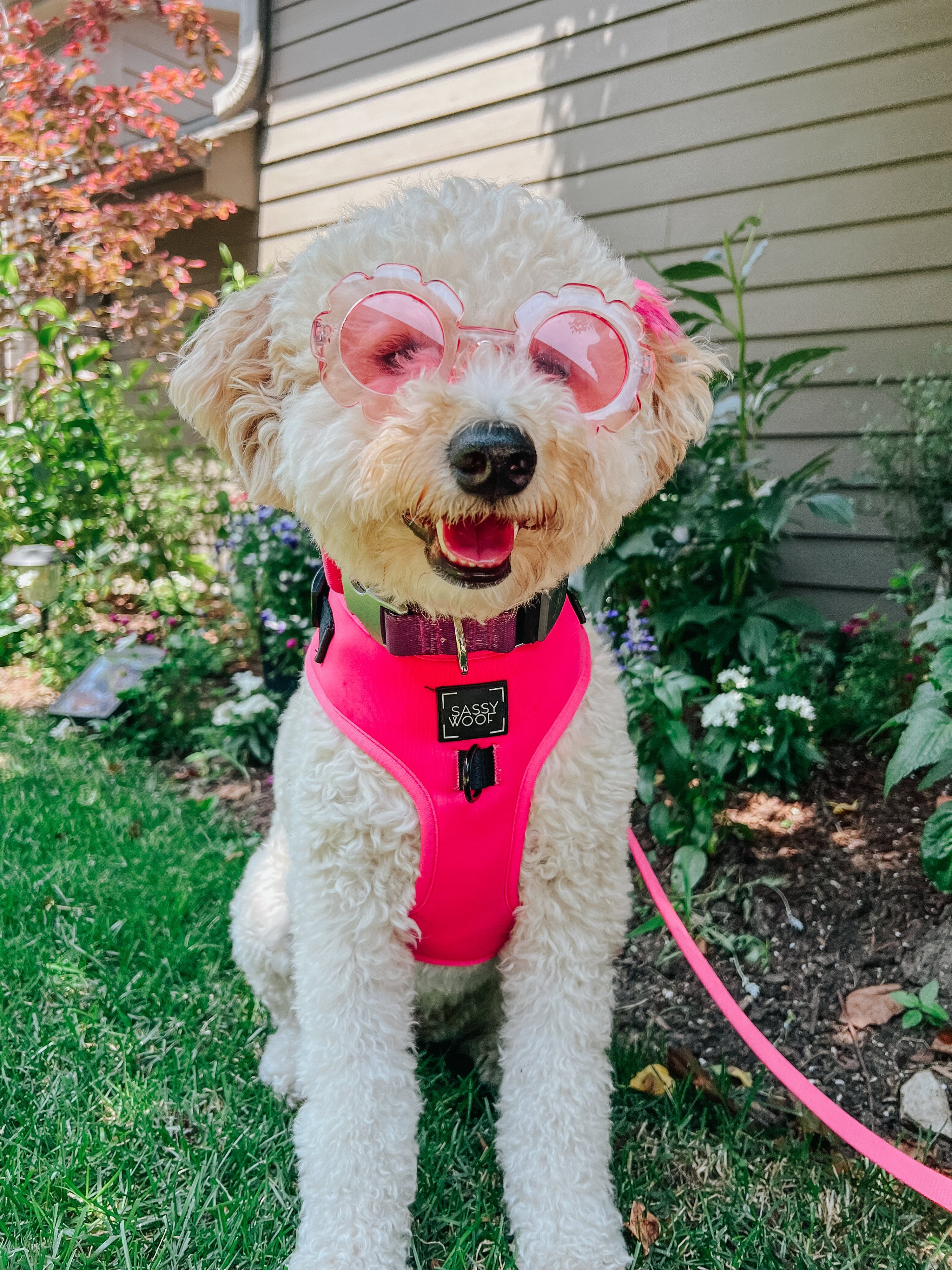 Dog Adjustable Harness - Neon Pink