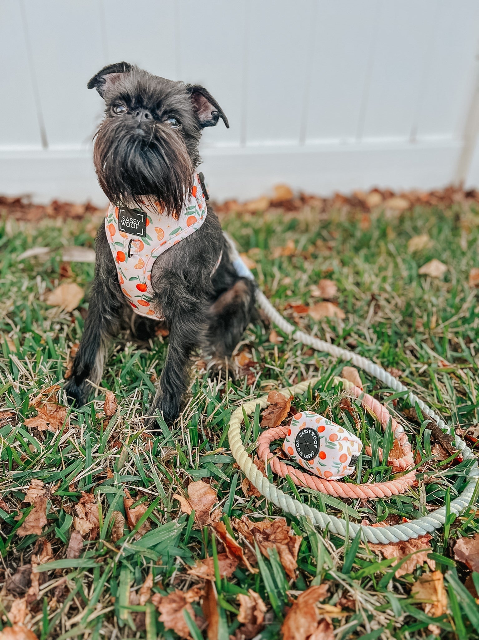 Dog Rope Leash - Honeydew