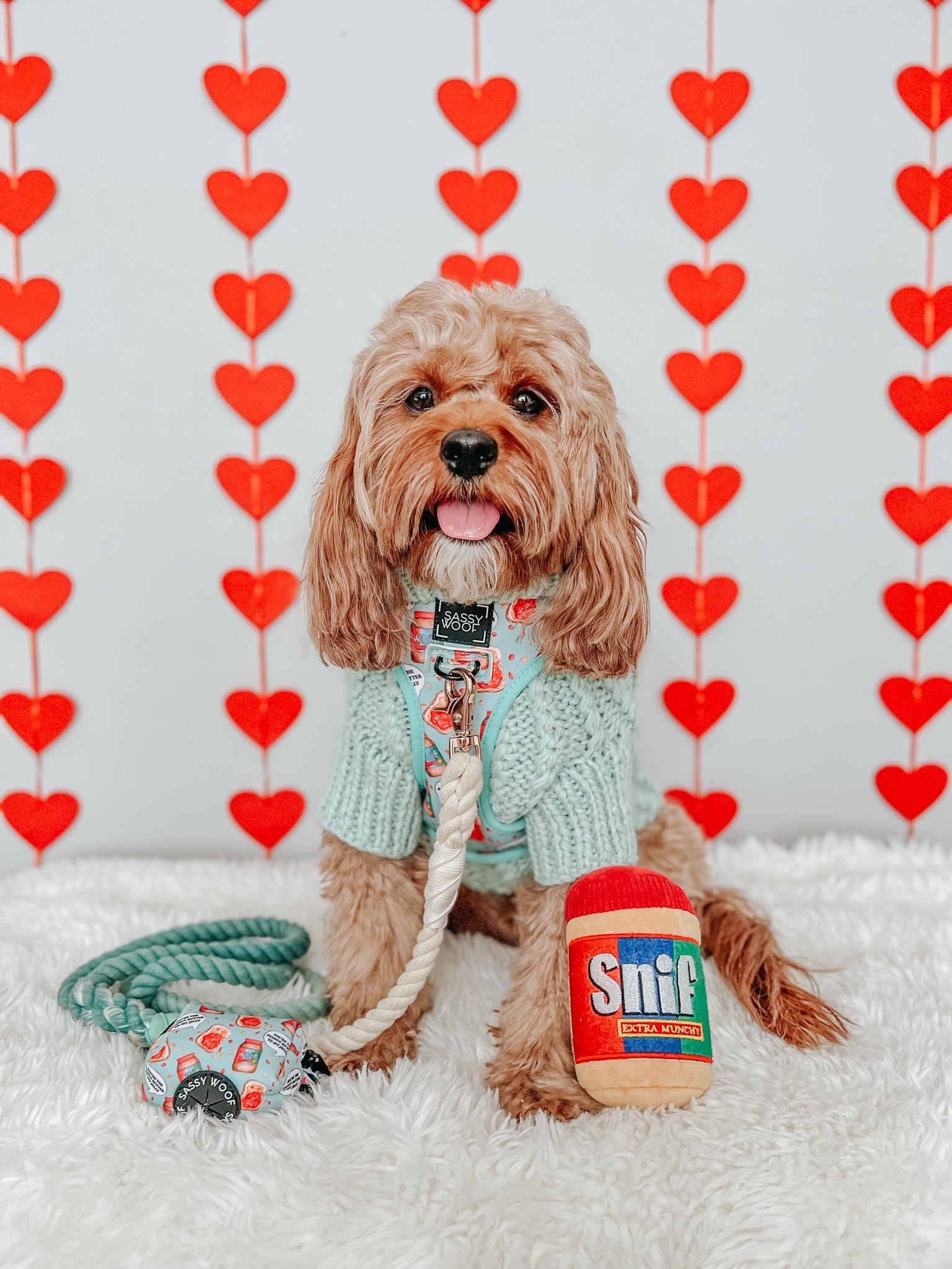 Dog Rope Leash - Dandy