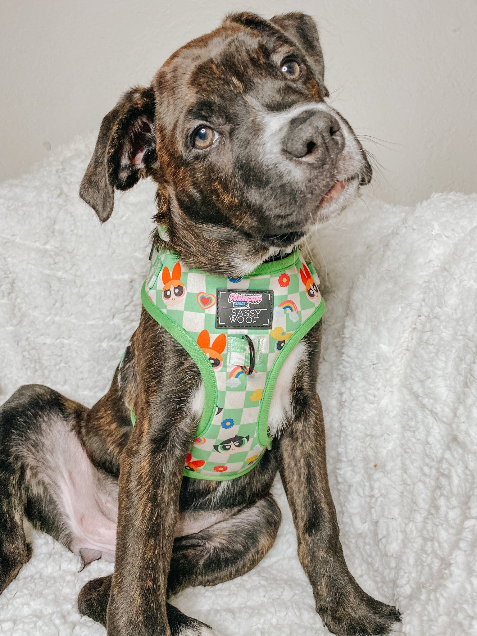 Dog Adjustable Harness - The Powerpuff Girls™ (Green)
