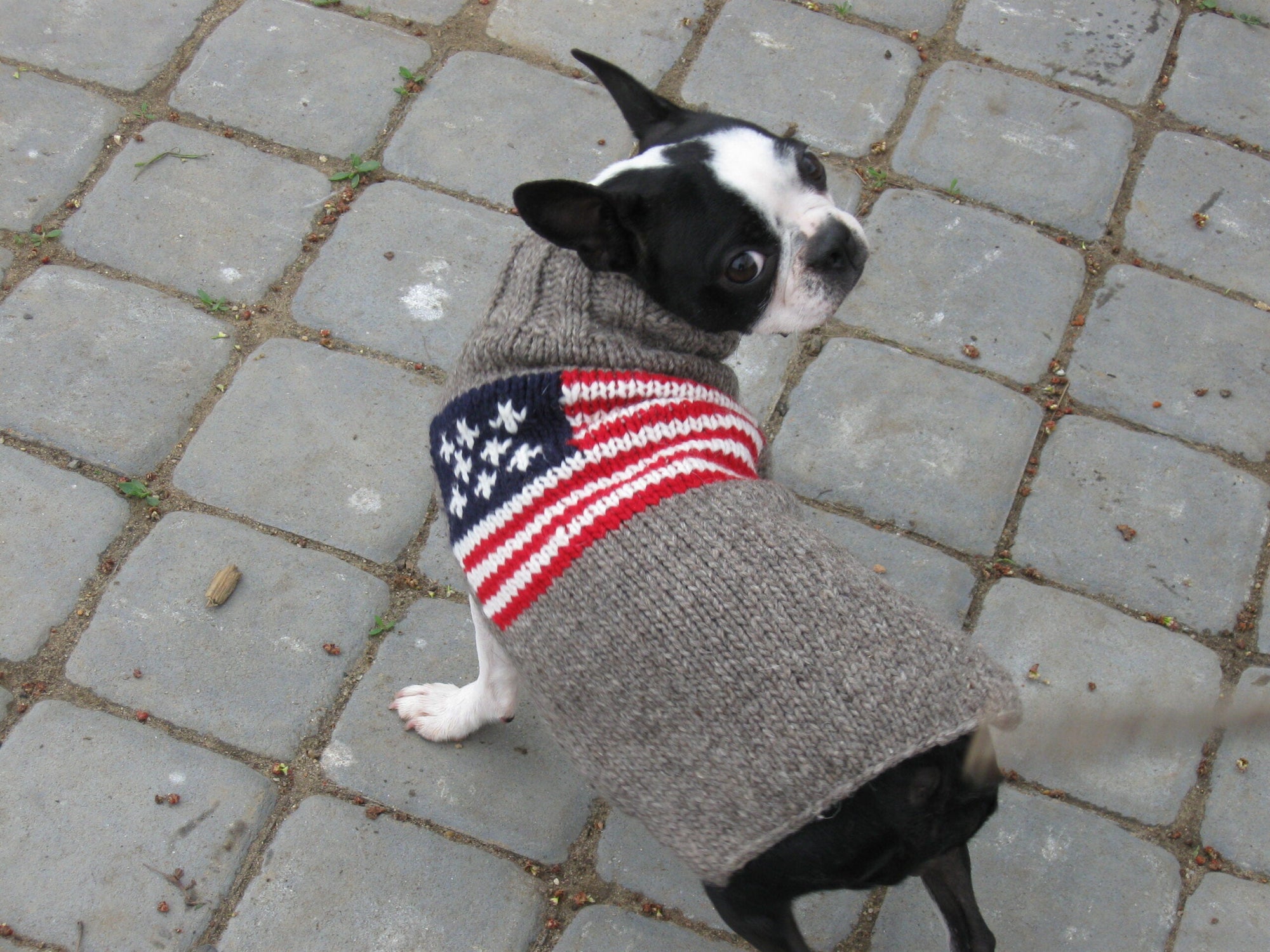 Chilly Dog American Flag Wool Dog Sweater