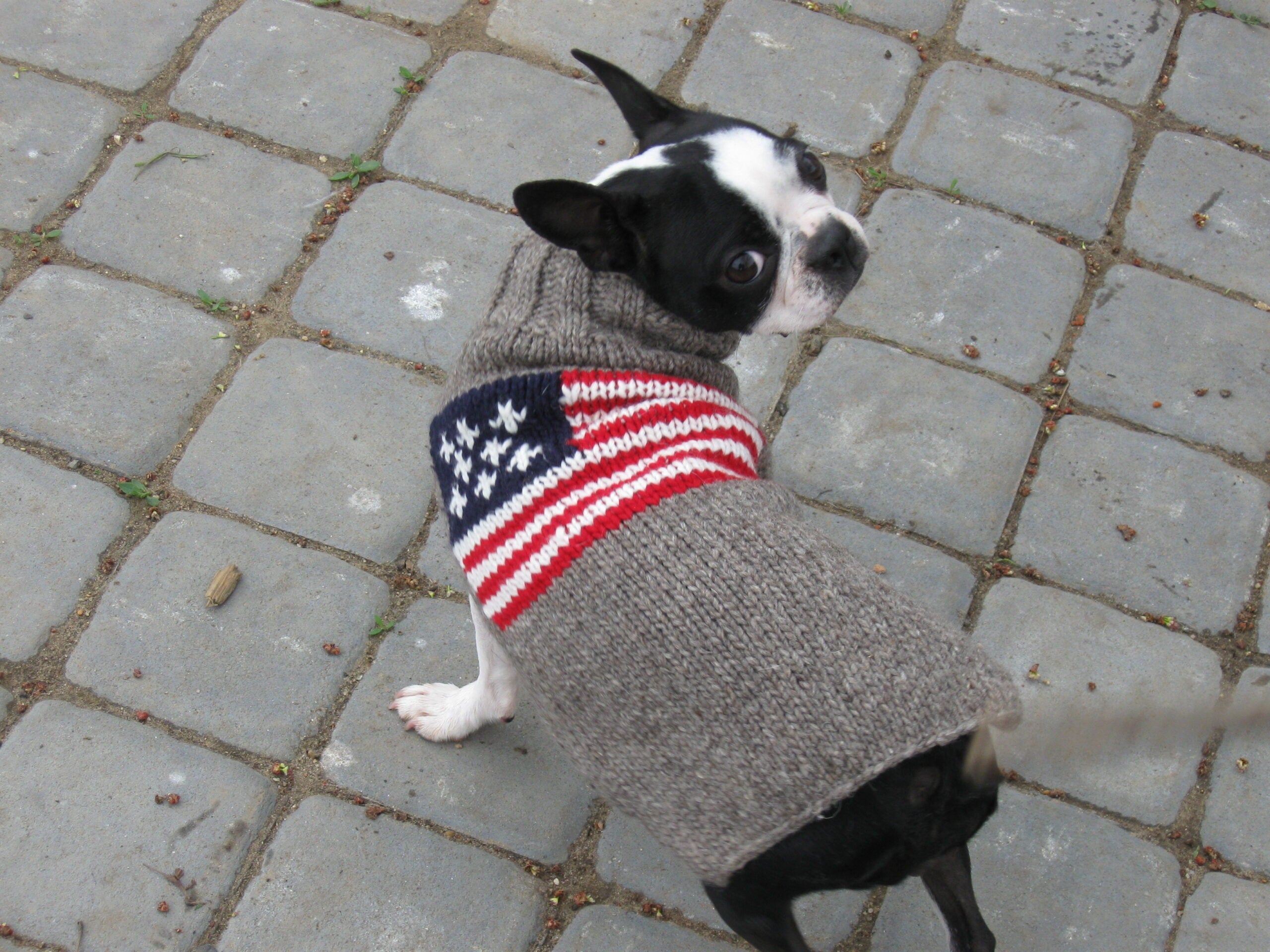 Chilly Dog American Flag Wool Dog Sweater