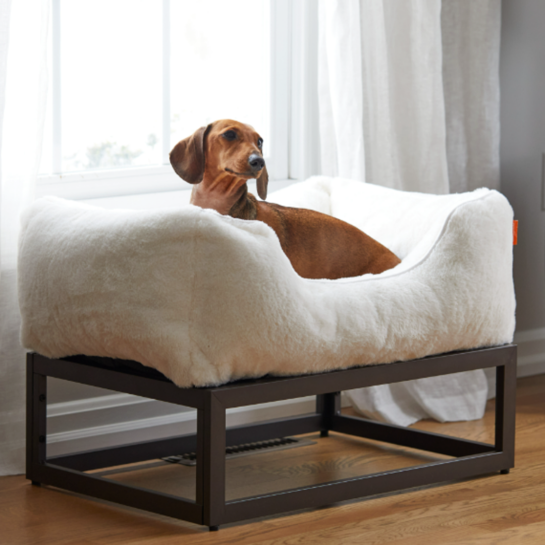 The FUZI Elevated Dog Bed