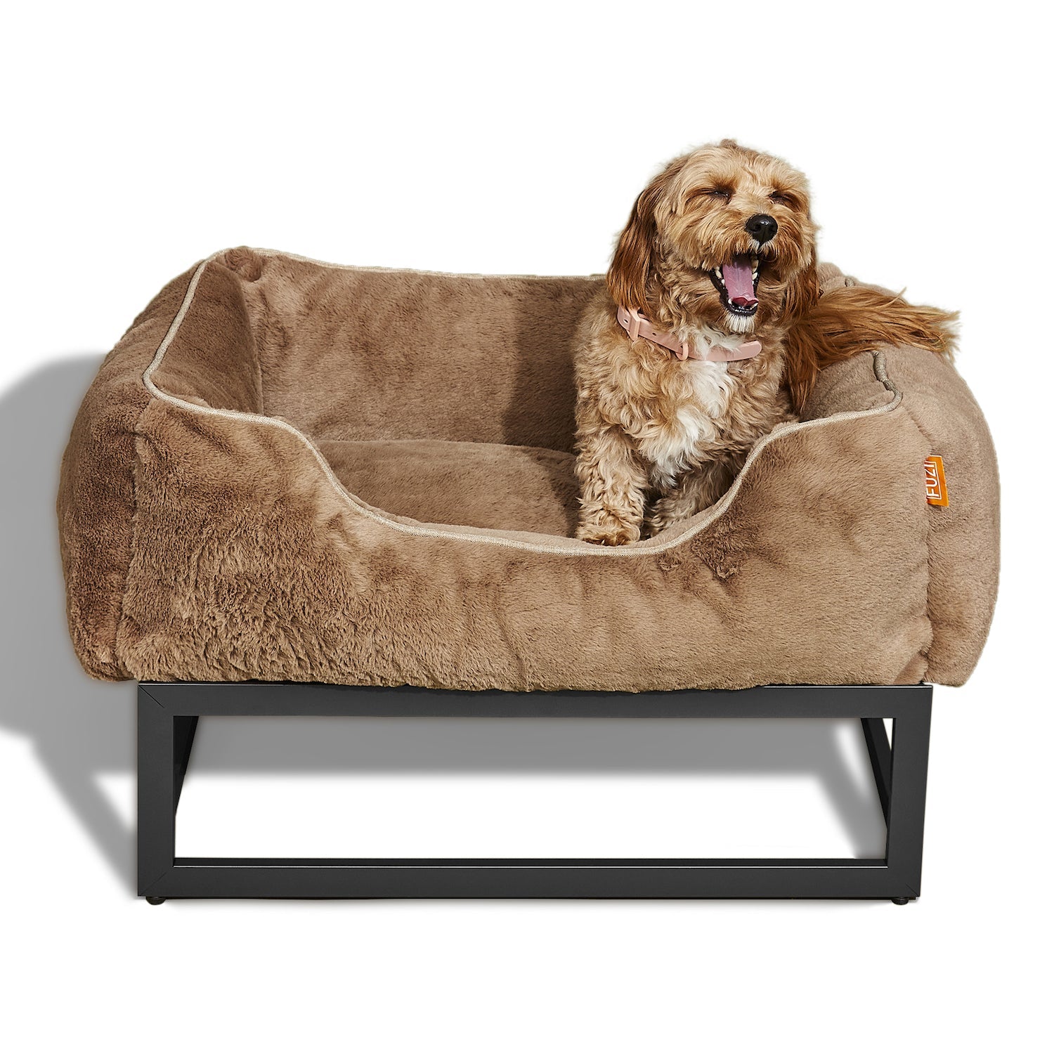 The FUZI Elevated Dog Bed