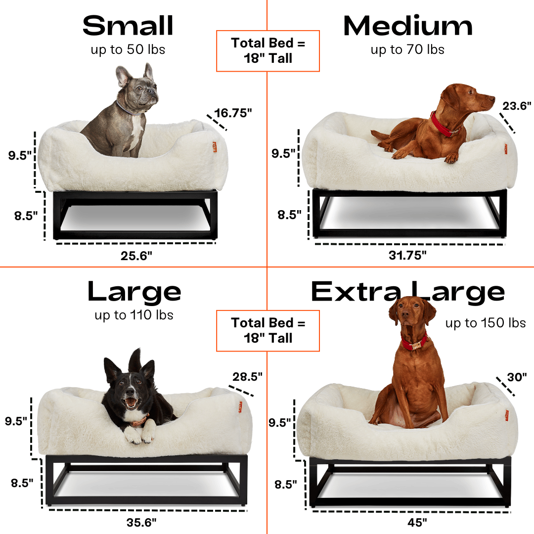 The FÜZI Elevated Dog Bed | HT Animal Supply