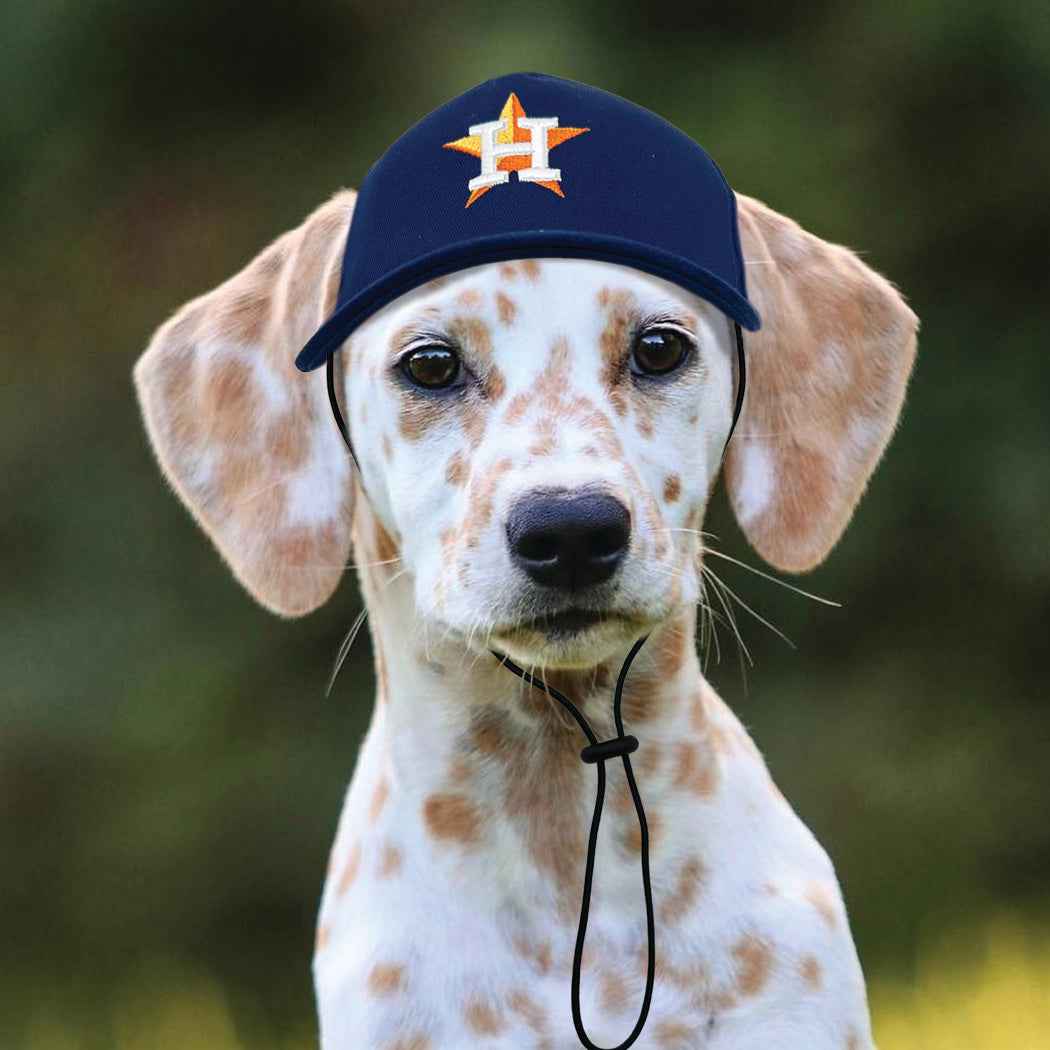 MLB Houston Astros Dog Hat